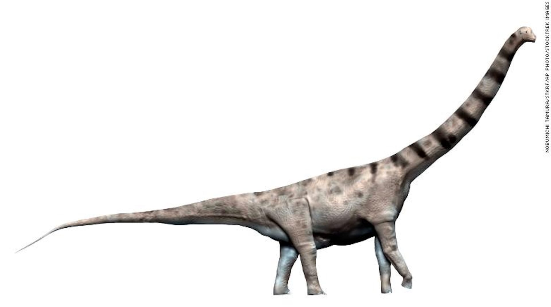 أحافير ديناصورات يمكن أن تنتمي إلى أكبر مخلوق في العالم