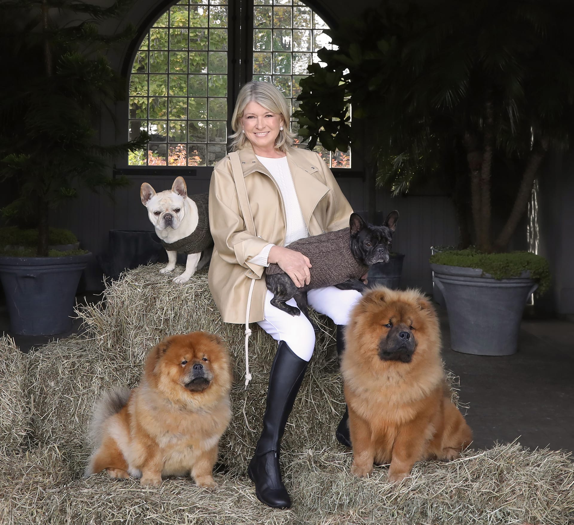 مارثا ستيوارت تطلق خط منتجات لطعام الكلاب المصنوع من القنب
