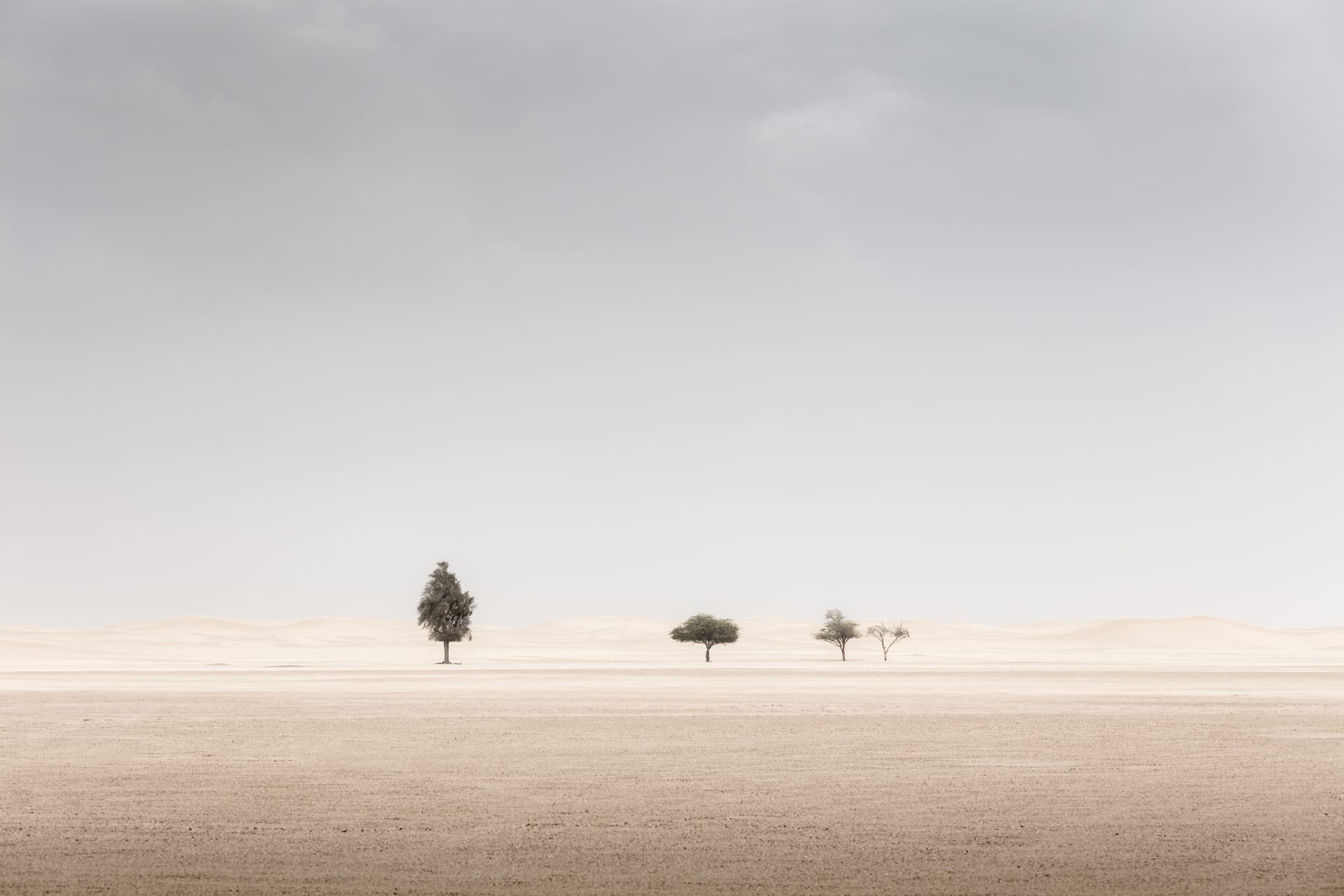ظروف "لا ترحم".. مصور يروي تجربته وسط عاصفة ترابية بصحراء الإمارات سعيا لهذه الصور الساحرة