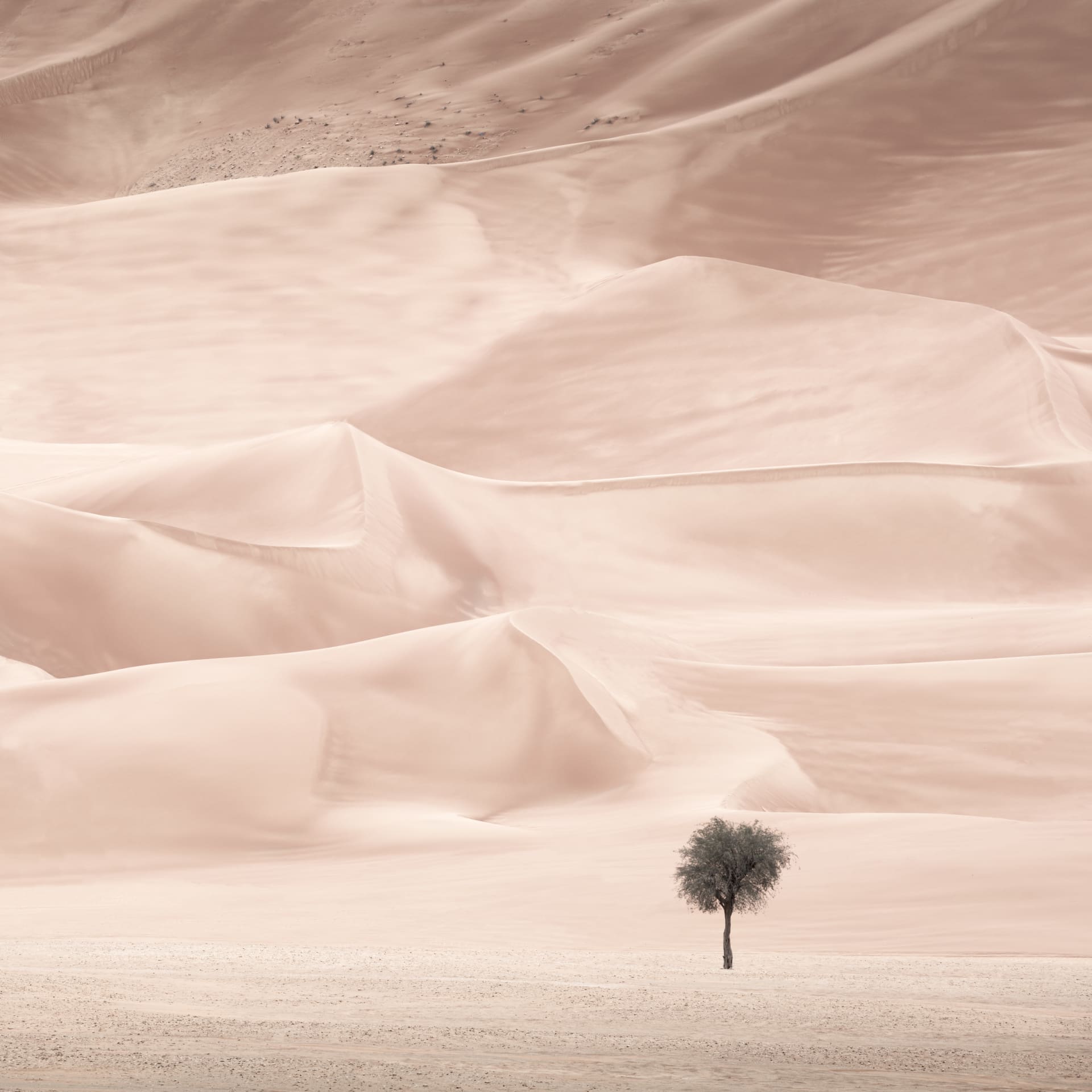 ظروف "لا ترحم".. مصور يروي تجربته وسط عاصفة ترابية بصحراء الإمارات سعيا لهذه الصور الساحرة