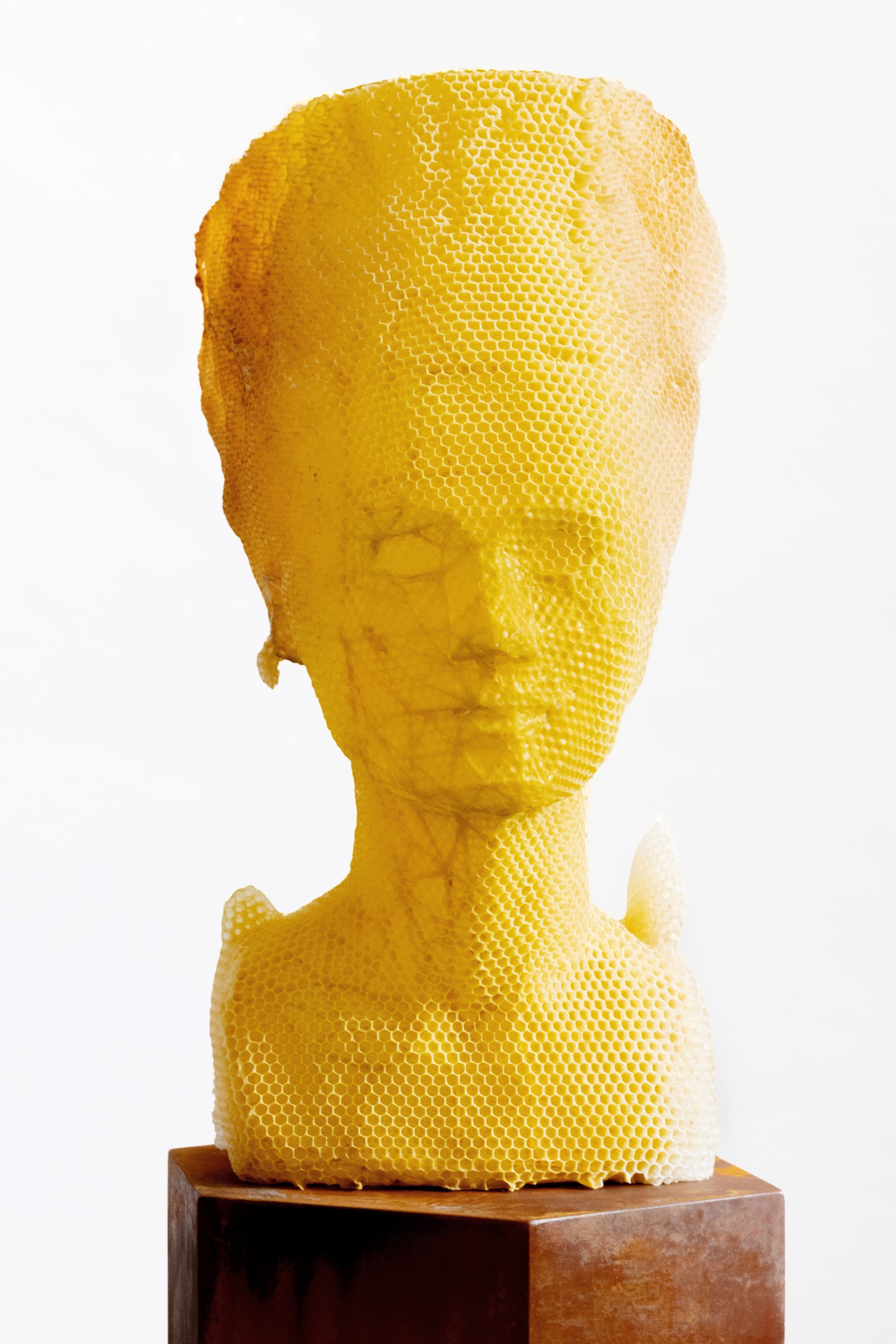 تجسيدا للخلود.. فنان يستخدم جيشاً من 60 ألف نحلة لصنع منحوتة ساحرة للملكة المصرية نفرتيتي
