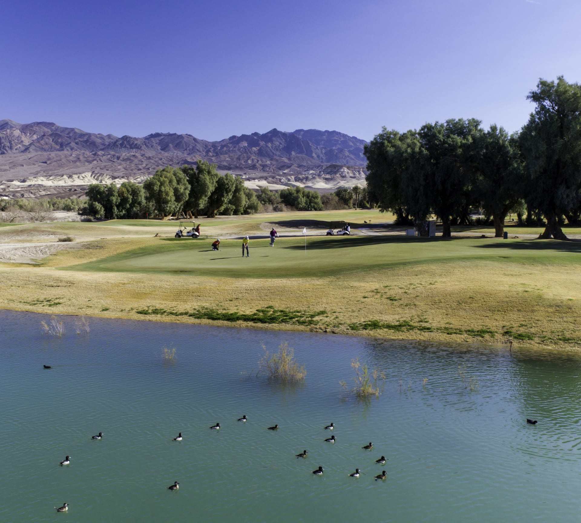 حير الكثيرون.. كيف يختلف لعب الغولف في وادي الموت بأمريكا؟