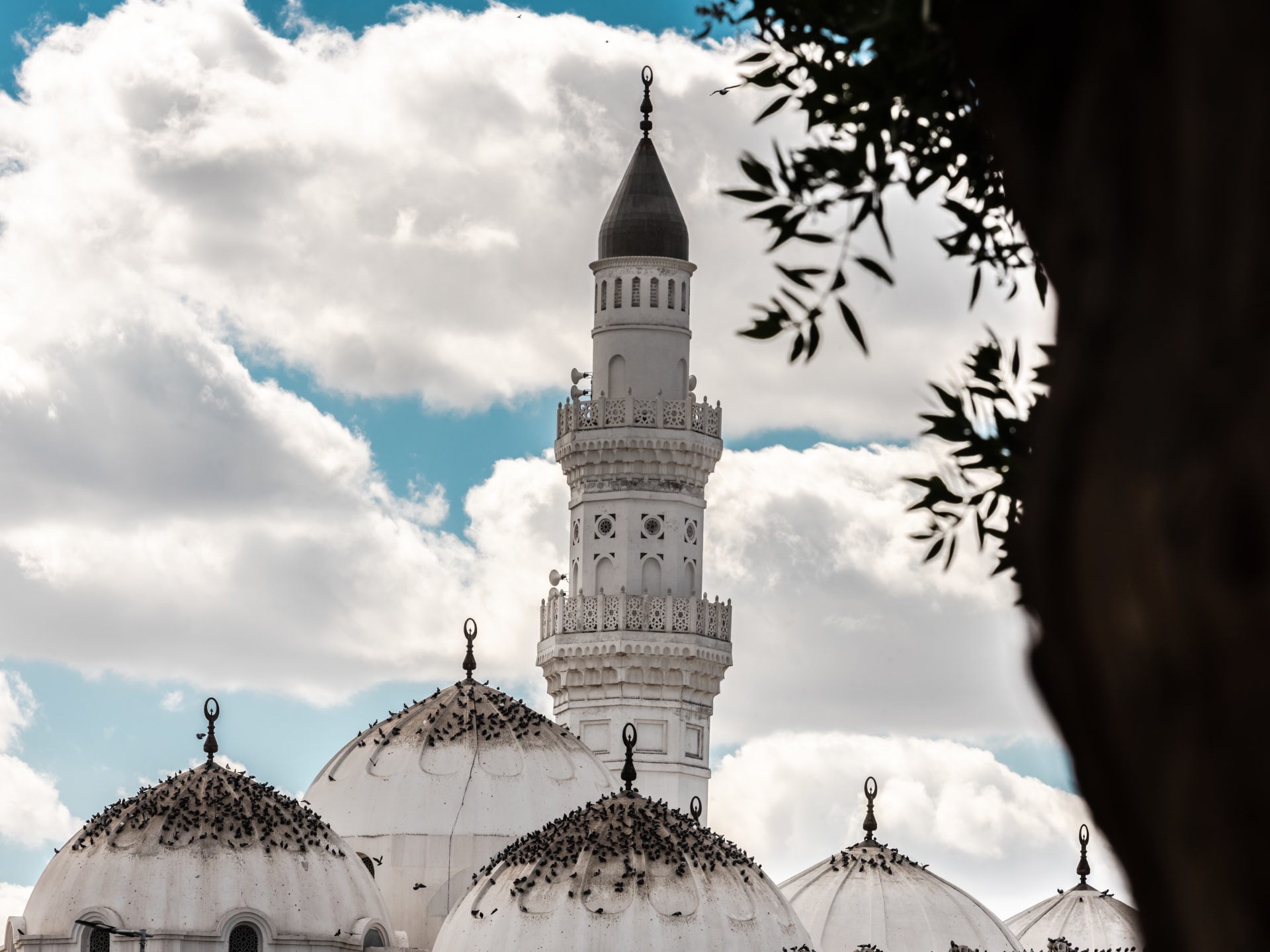 مسجد قباء بالمدينة المنورة