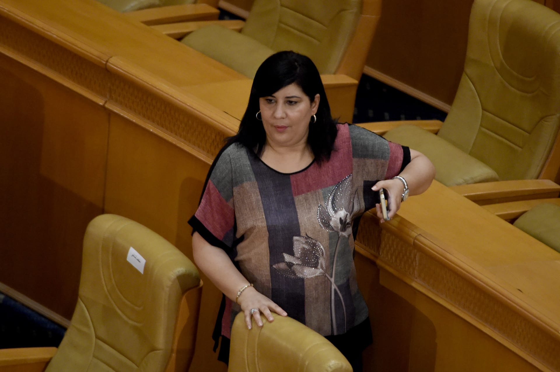 صورة أرشيفية لعبير موسى في البرلمان