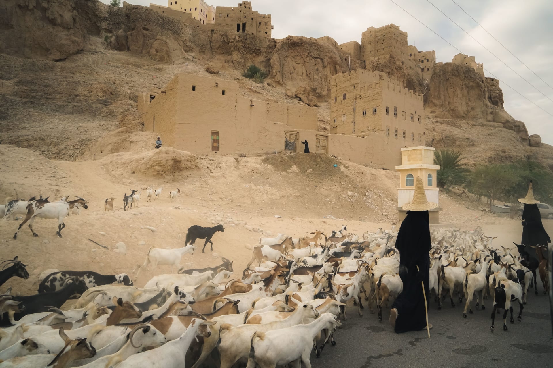 أبراج منبثقة من الصخور.. استكشف سحر "مانهاتن الصحراء" في اليمن