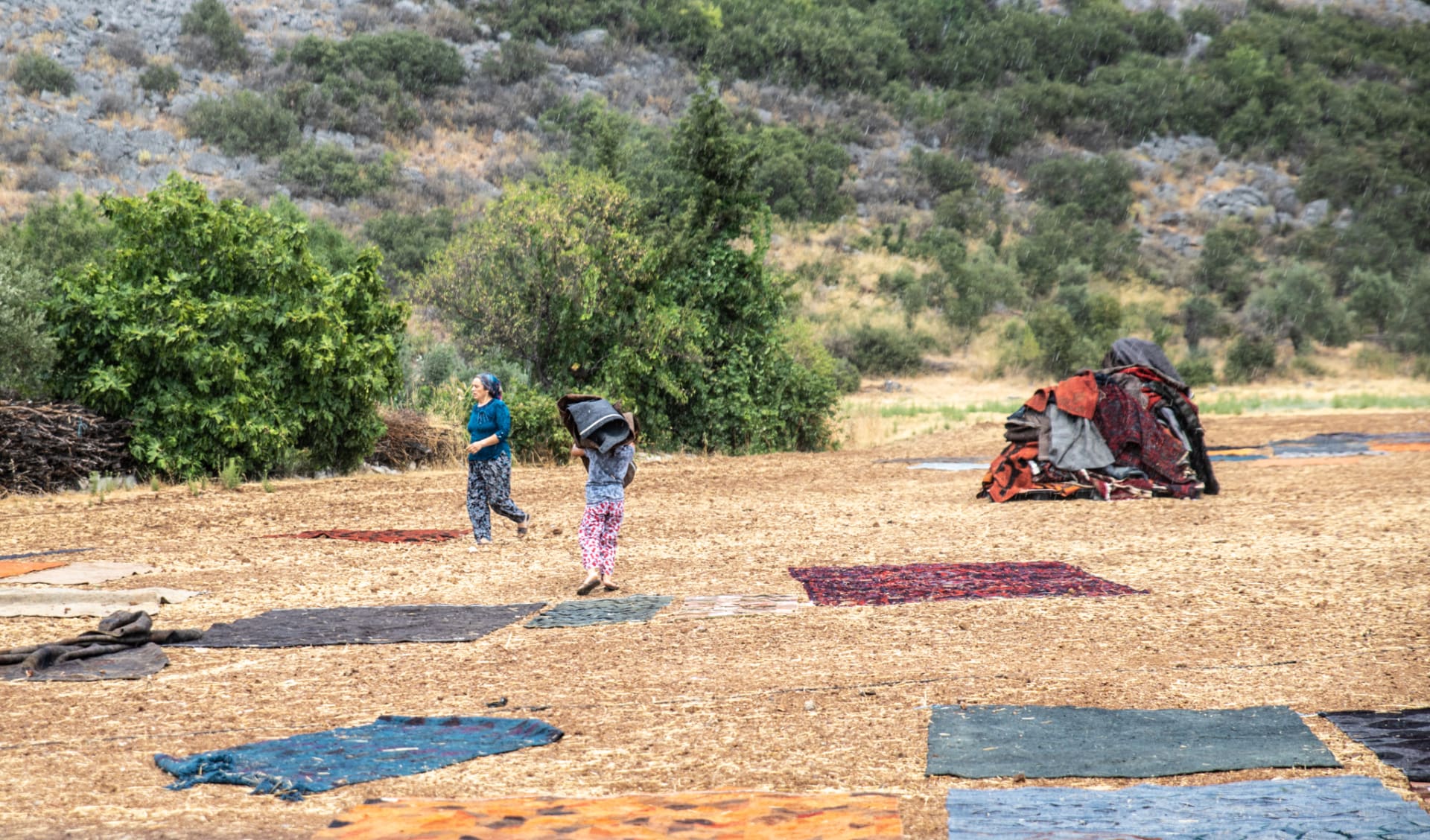 حقول السجاد بتركيا.. تقليد فريد يزين الحقول الخضراء بألوان زاهية مع قدوم الصيف