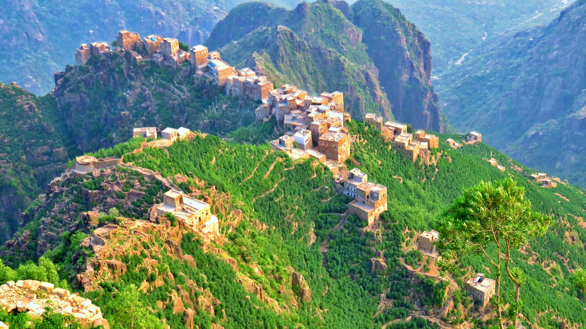 في اليمن.. استكشف آخر بقايا الغابات شبه الاستوائية الواسعة في شبه الجزيرة العربية بهذا الجبل الزاهي