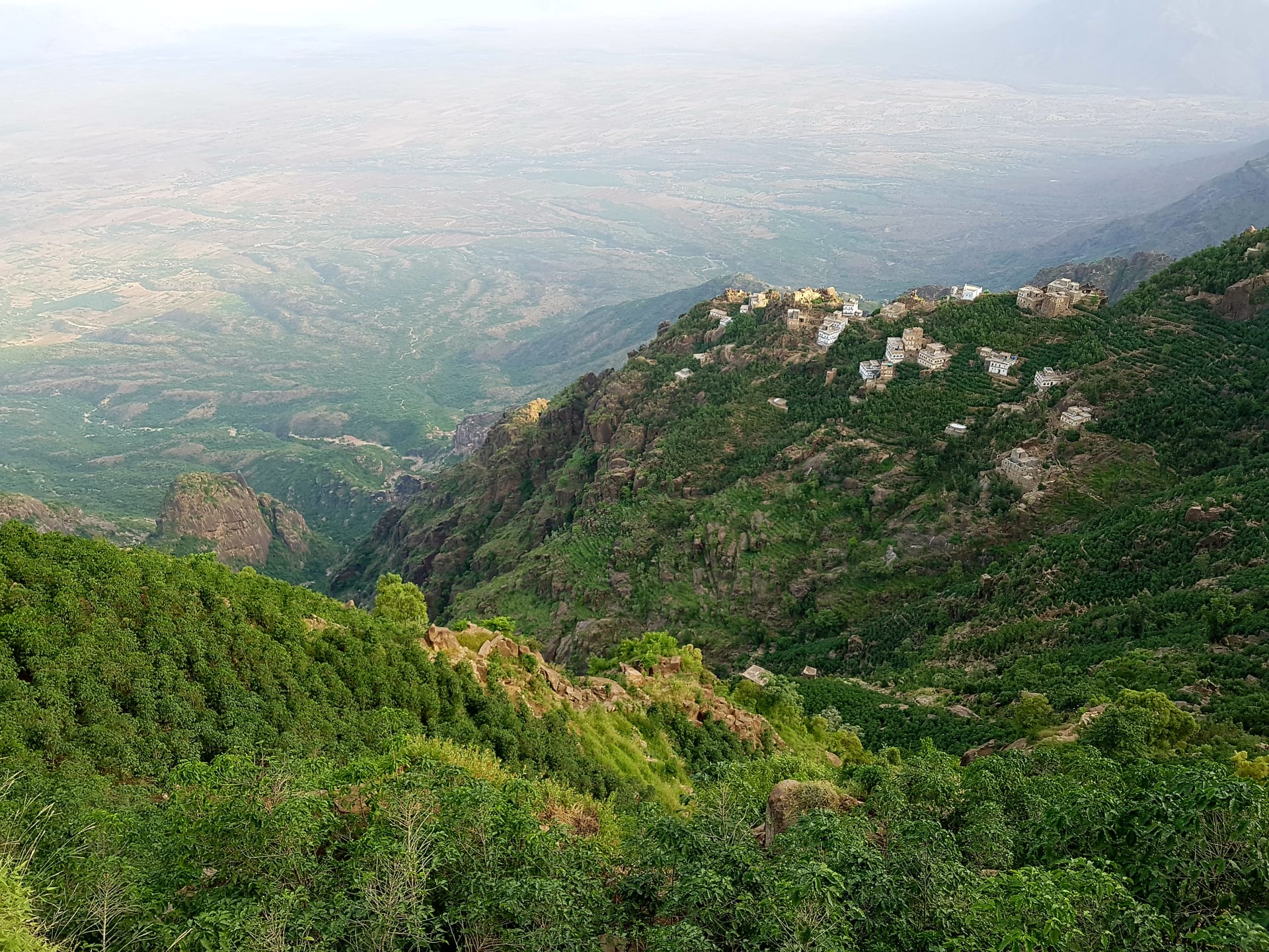 في اليمن.. استكشف آخر بقايا الغابات شبه الاستوائية الواسعة في شبه الجزيرة العربية بهذا الجبل الزاهي