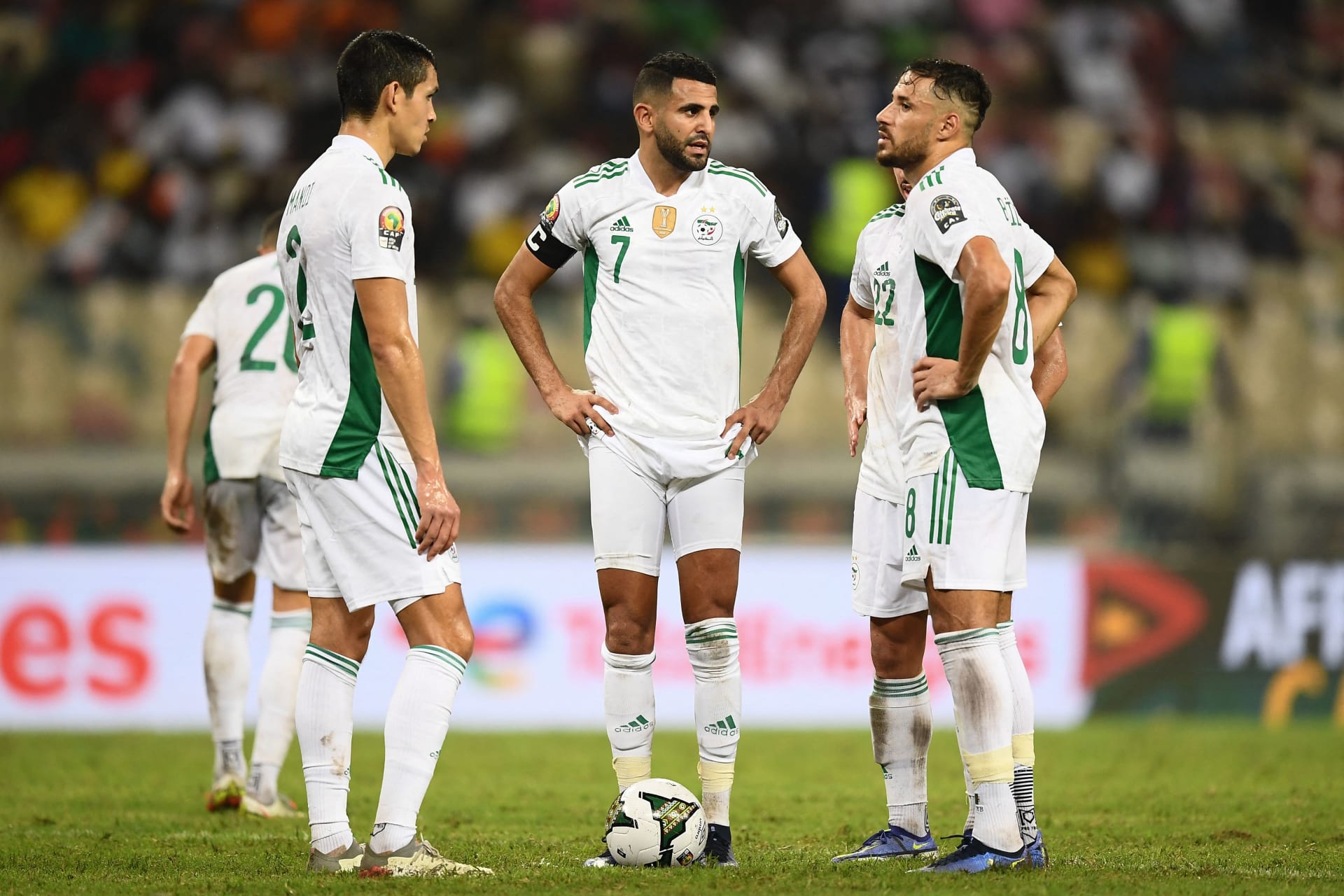 الاتحاد الجزائري يكشف حقيقة جلب راق لمساعدة اللاعبين بكأس أفريقيا