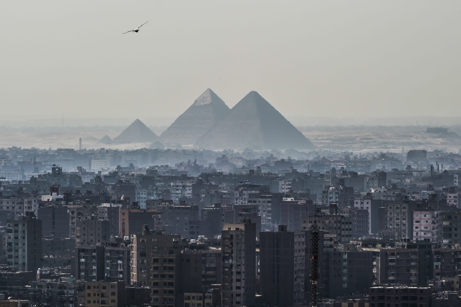 صورة عامة للأهرامات في مصر 