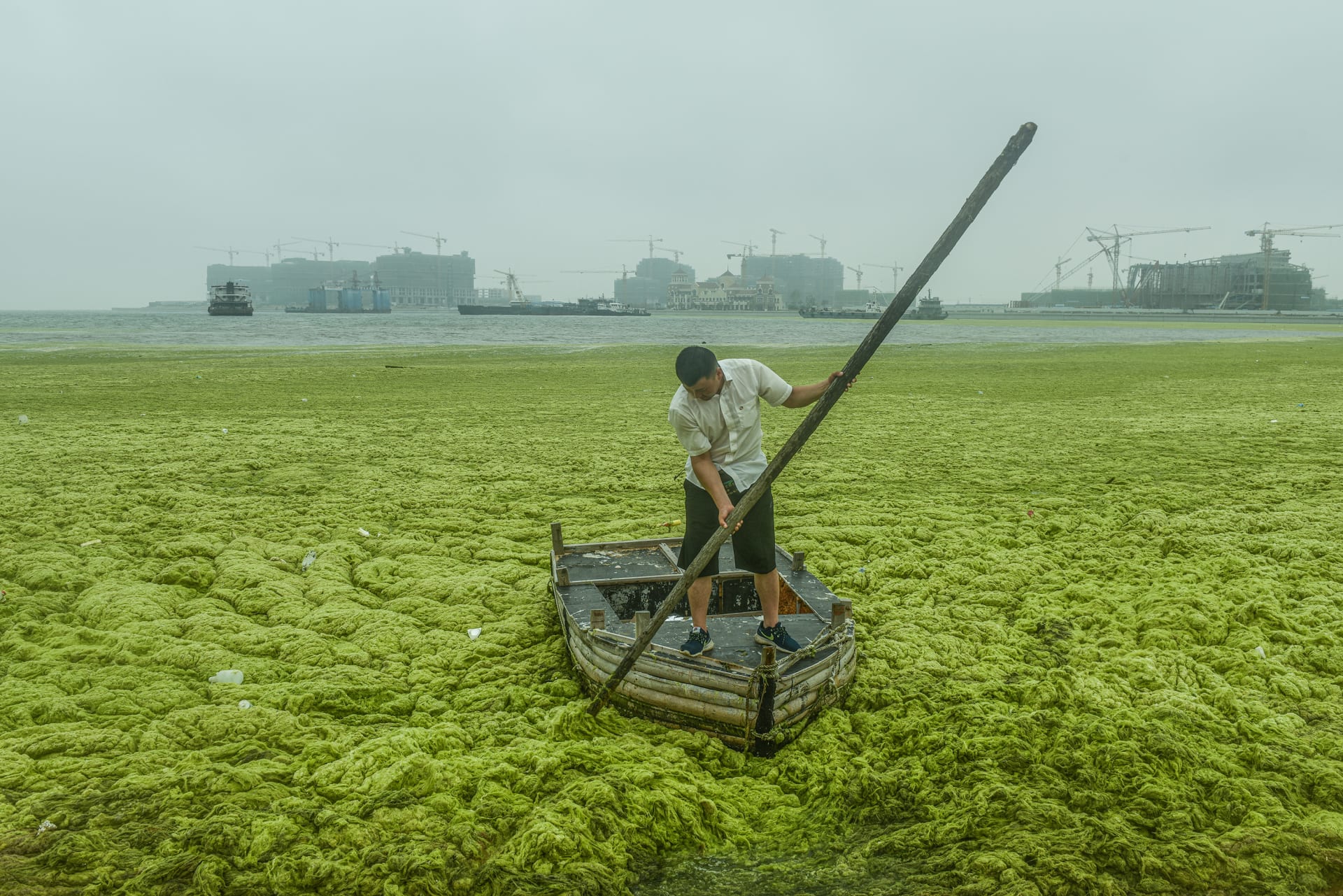 إليك أبرز الصور من مسابقة تصوير تسلط الضوء على الحياة في الصين