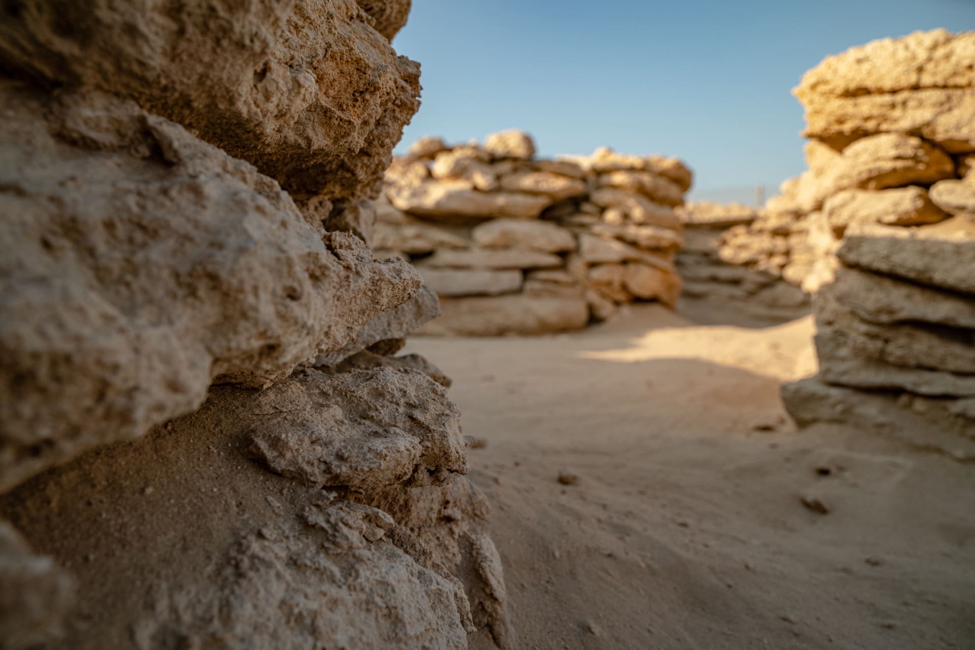 الأقدم في الإمارات..اكتشاف مبانٍ أثرية عمرها 8500 عاماً في أبوظبي