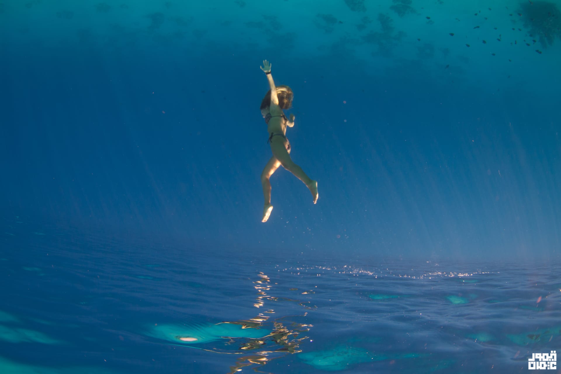 Underwater dancing in Egypt .. an experience "charming" Promotes women's freedom of speech