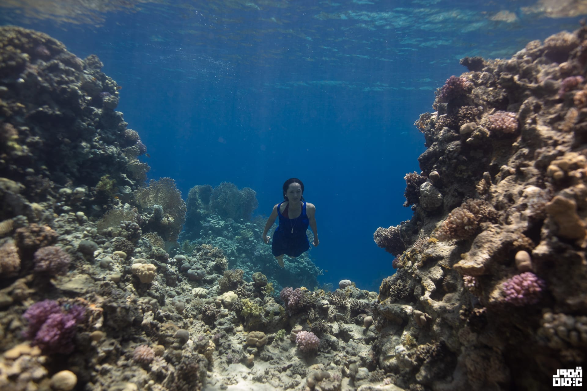 Underwater dancing in Egypt .. an experience "charming" Promotes women's freedom of expression