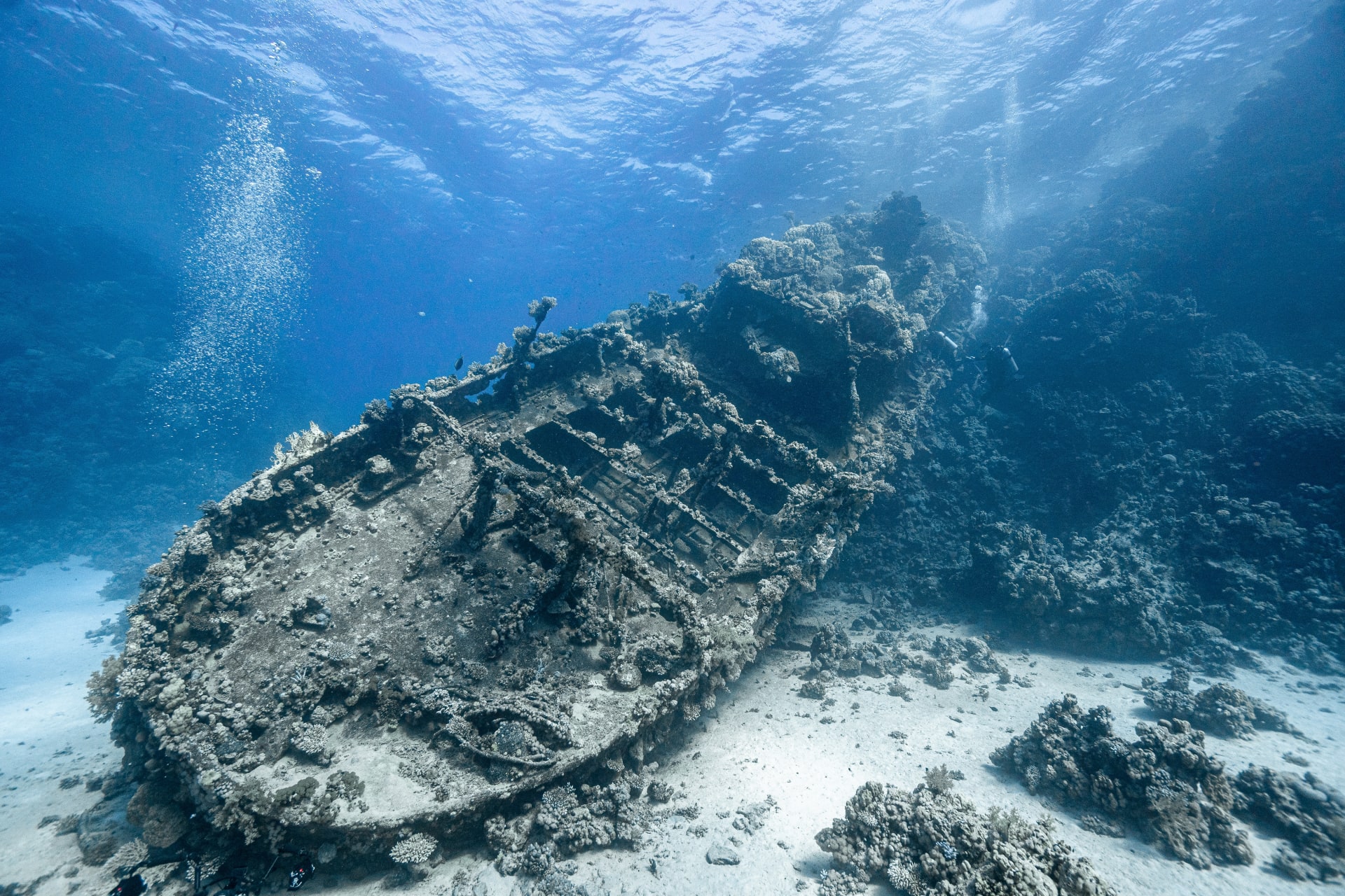 With a mysterious history, a wreck turns into a charming destination for divers in the depths of the Red Sea in Egypt