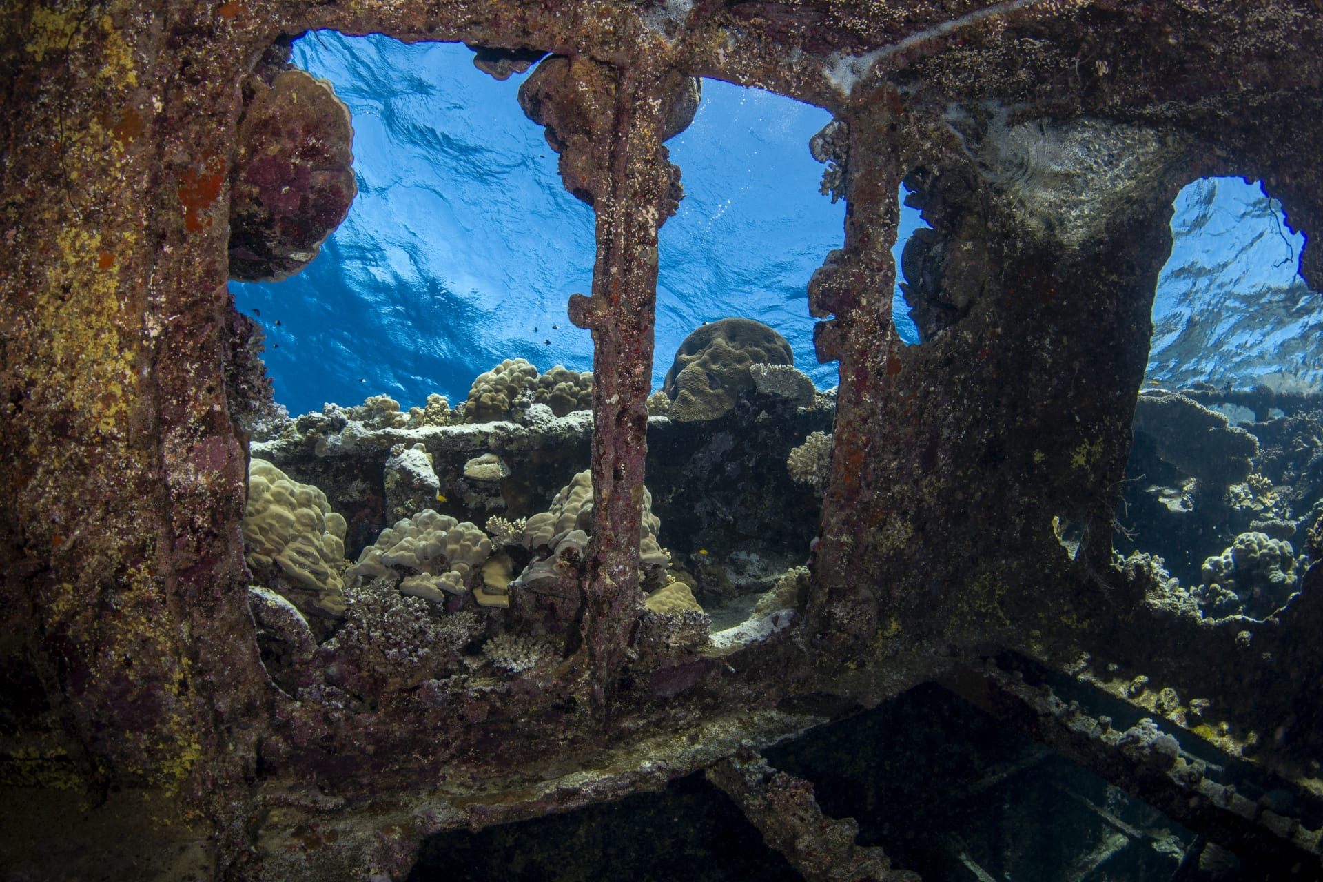 With a mysterious history, a wreck turns into a charming destination for divers in the depths of the Red Sea in Egypt