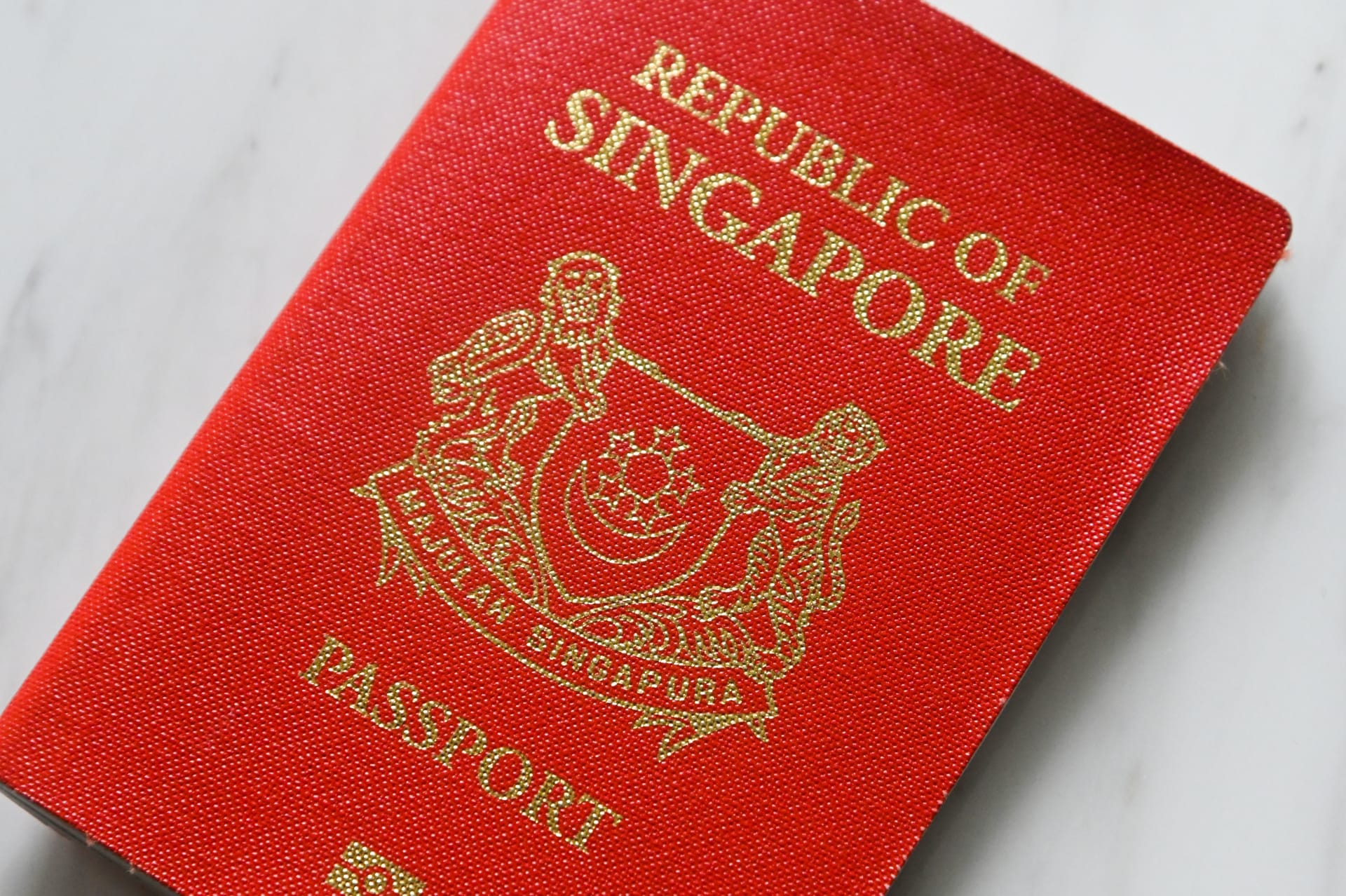 جواز السفر إلى سنغافورة 