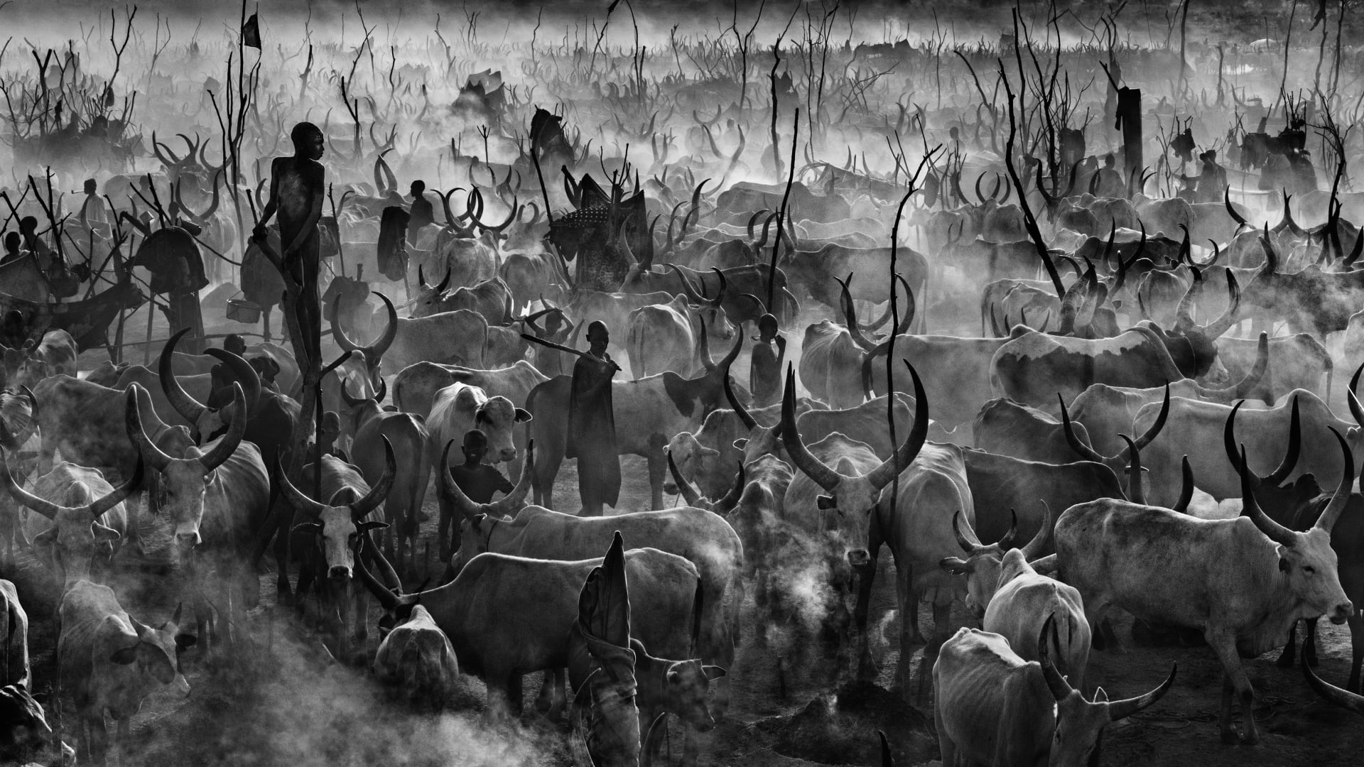 أكسبته أعماله الملايين.. مصور المشاهير والحياة البرية يكشف أسرار أكثر صوره الأيقونية