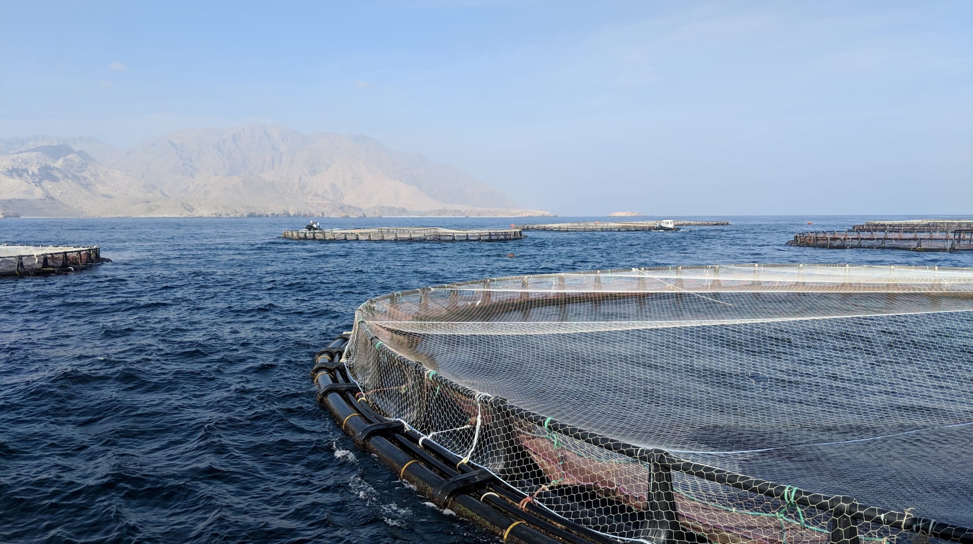 في مواجهة التغير المناخي والنمو السكاني ، هذه هي الطريقة التي تعزز بها التكنولوجيا قطاع تربية الأحياء المائية وصيد الأسماك في دول الخليج