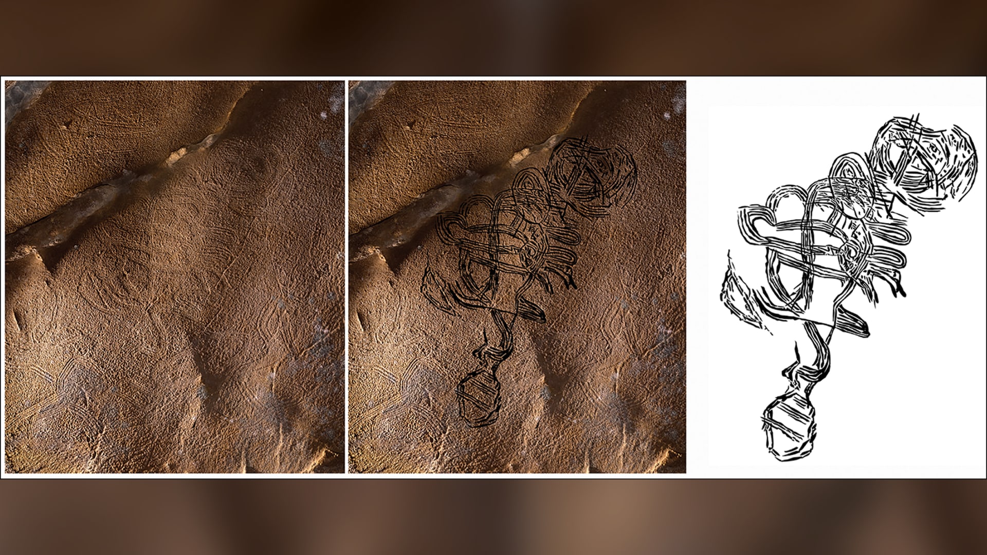 Surprising discovery of secret drawings that will change the view of scientists about cave art .. What is it?
