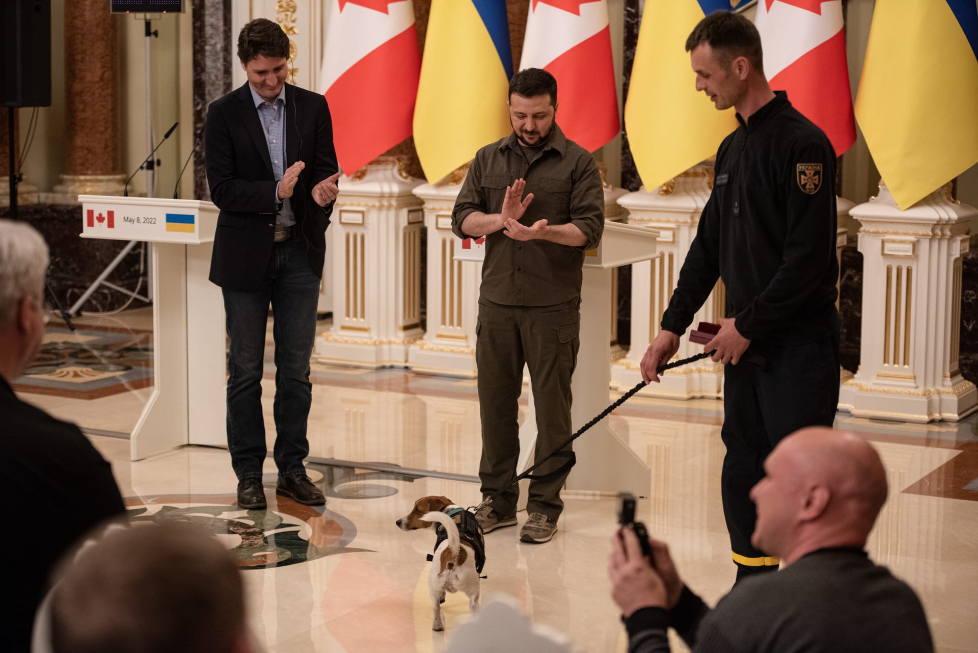 زيلينسكي يكرم أشهر كلب في أوكرانيا لدوره في مواجهة الحرب الروسية 
