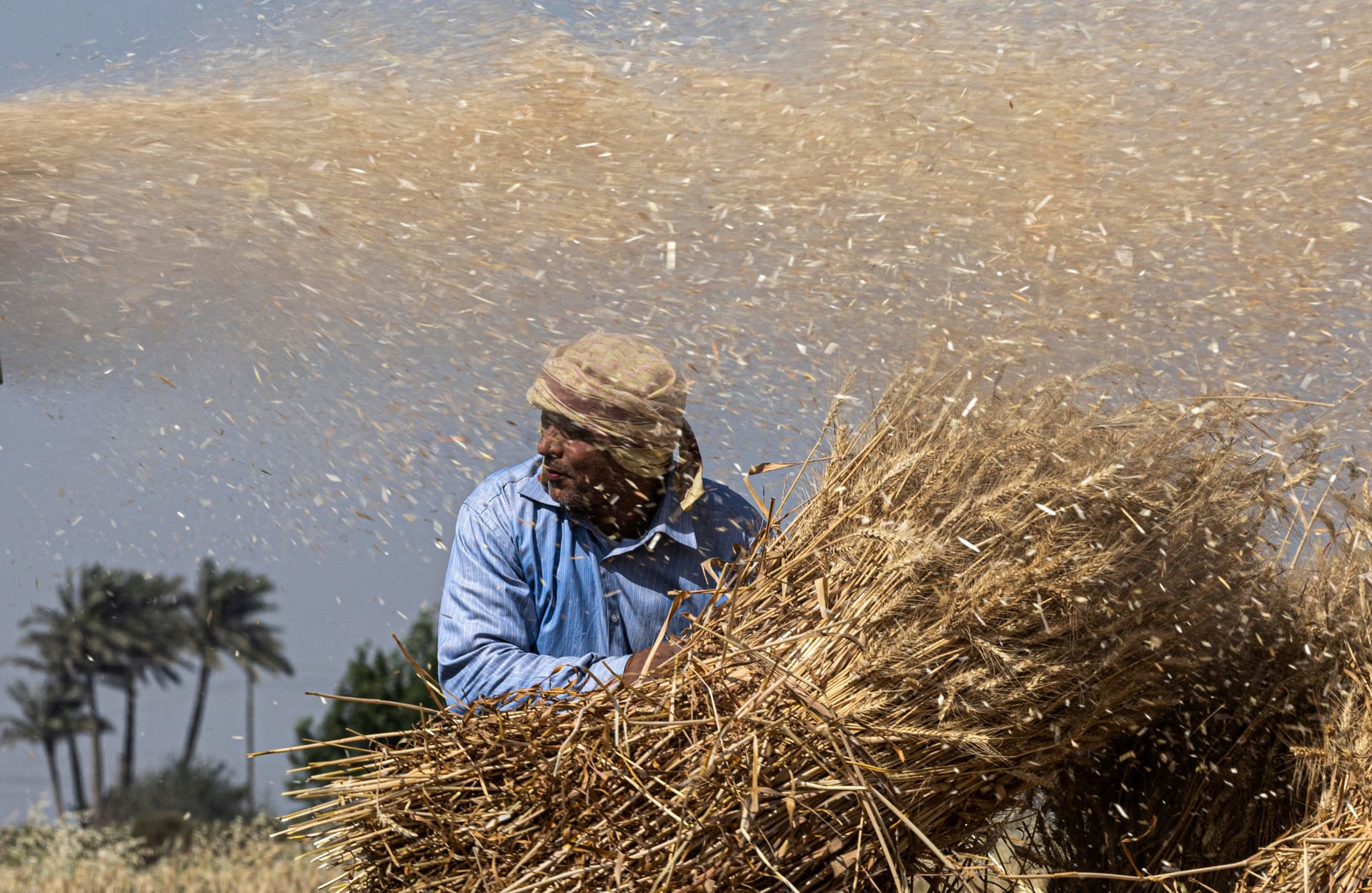 مصر تكشف عن مشروع لزراعة الصحراء بسلع استراتيجية باستثمارات 7.3 مليار دولار