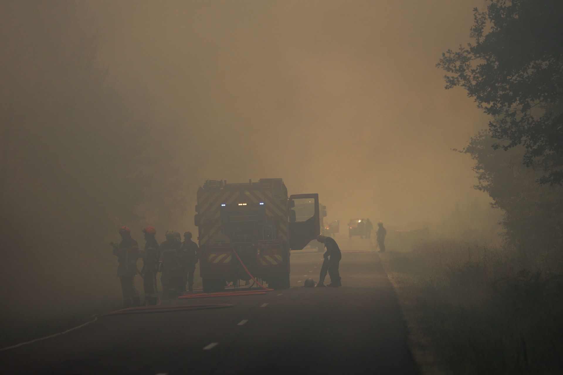 حرائق الغابات تجتاح جنوب فرنسا.. وتدمر مساحات شاسعة