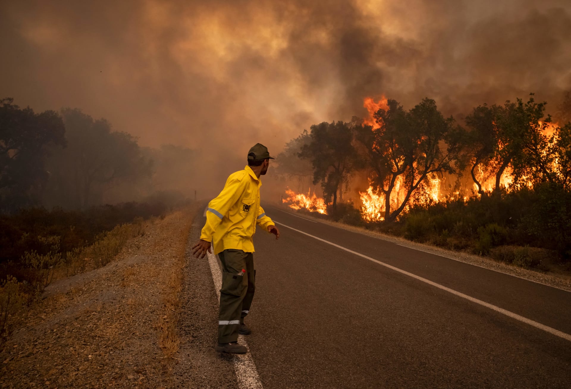حرائق الغابات تلتهم مساحات شاسعة شمالي المغرب وسط سباق مع الزمن للسيطرة عليها