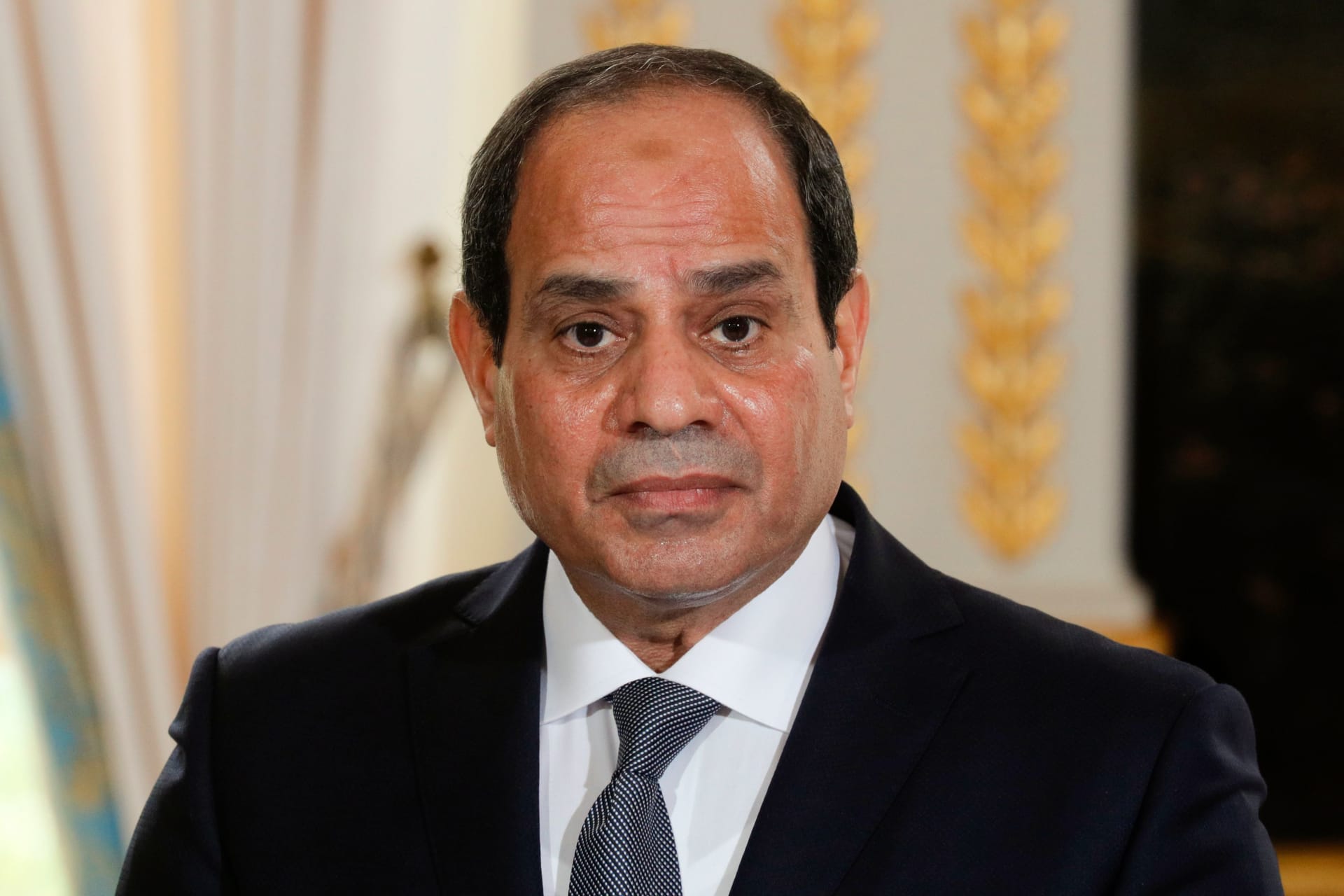 السيسي عن وضع حقوق الإنسان في مصر: "شهادتي مجروحة"