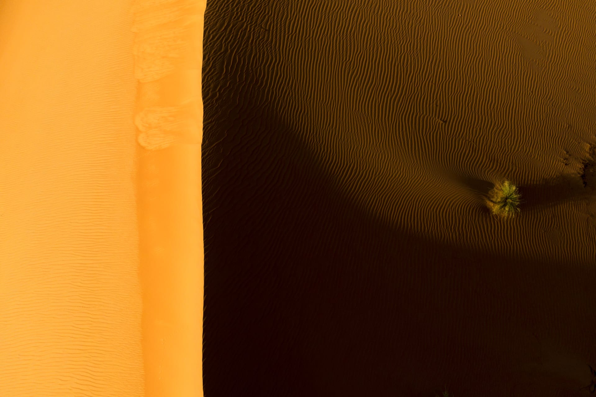 V Abu Dabiju, Emirati, ki dokumentira kontrast svetlobe in senc v puščavi Liwa
