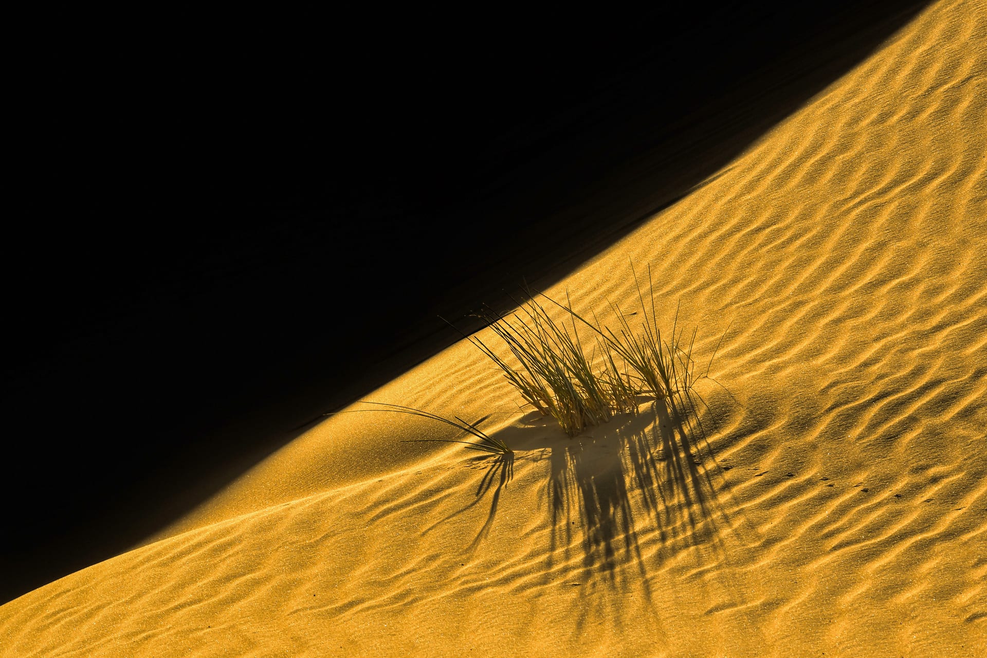 V Abu Dabiju, Emirati, ki dokumentira kontrast svetlobe in senc v puščavi Liwa