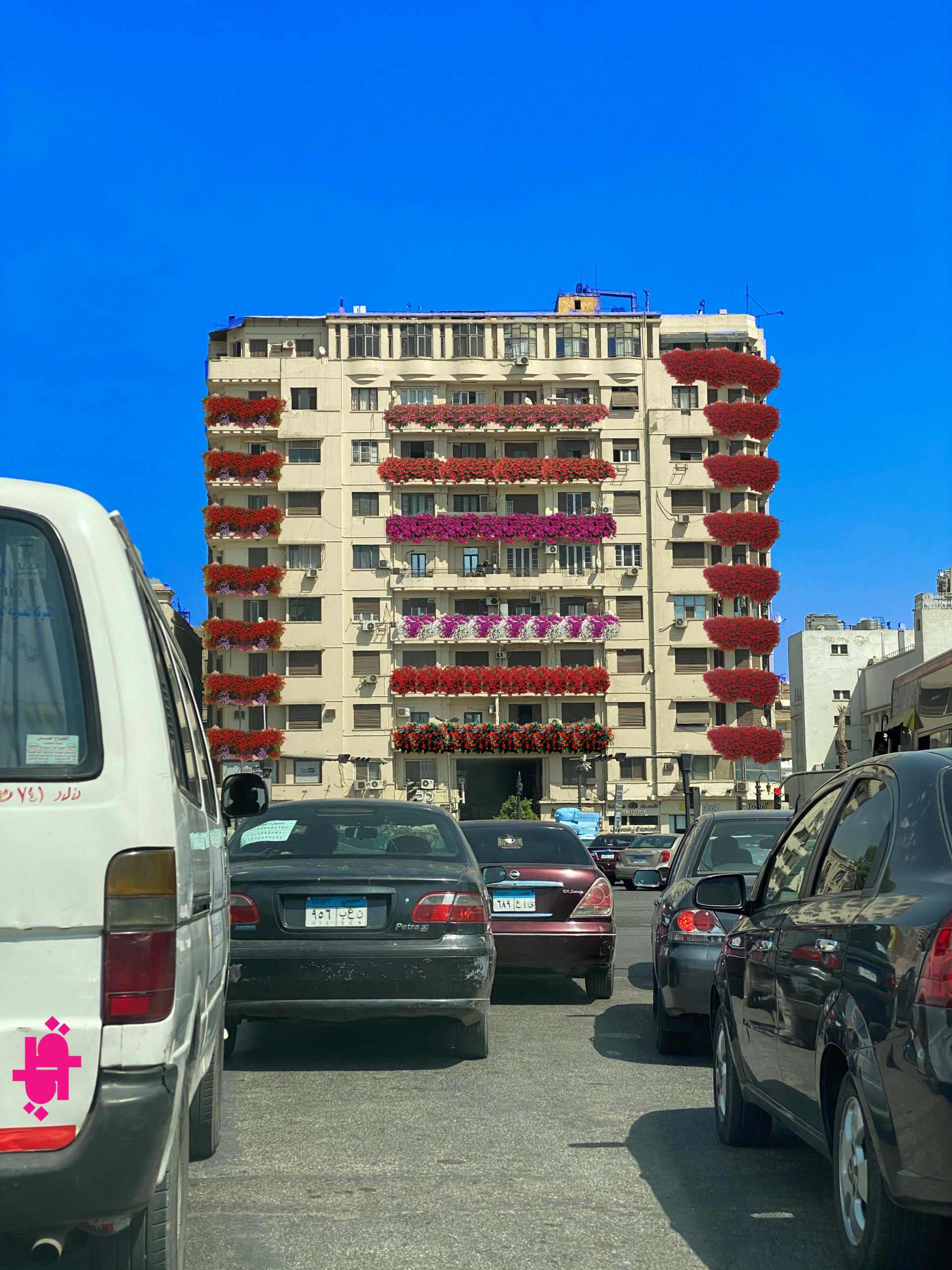 بلمسة إيطالي.. مباني "وسط البلد" تتزين بالورود في القاهرة
