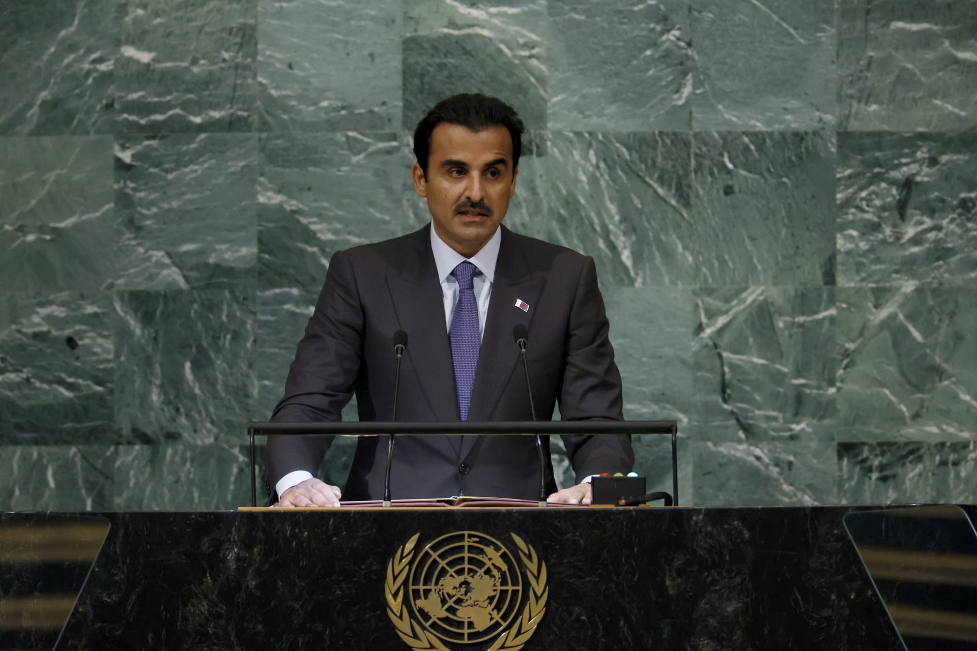  تميم بن حمد آل ثاني، أمير قطر