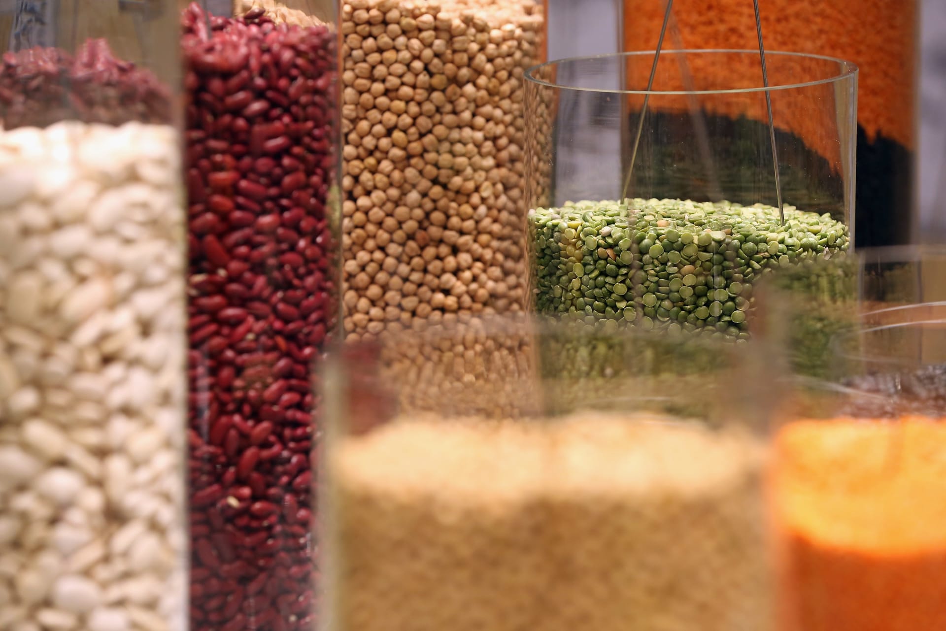 Alternatieve eiwitten.  Een veelbelovende oplossing voor het bereiken van voedselzekerheid in het Midden-Oosten