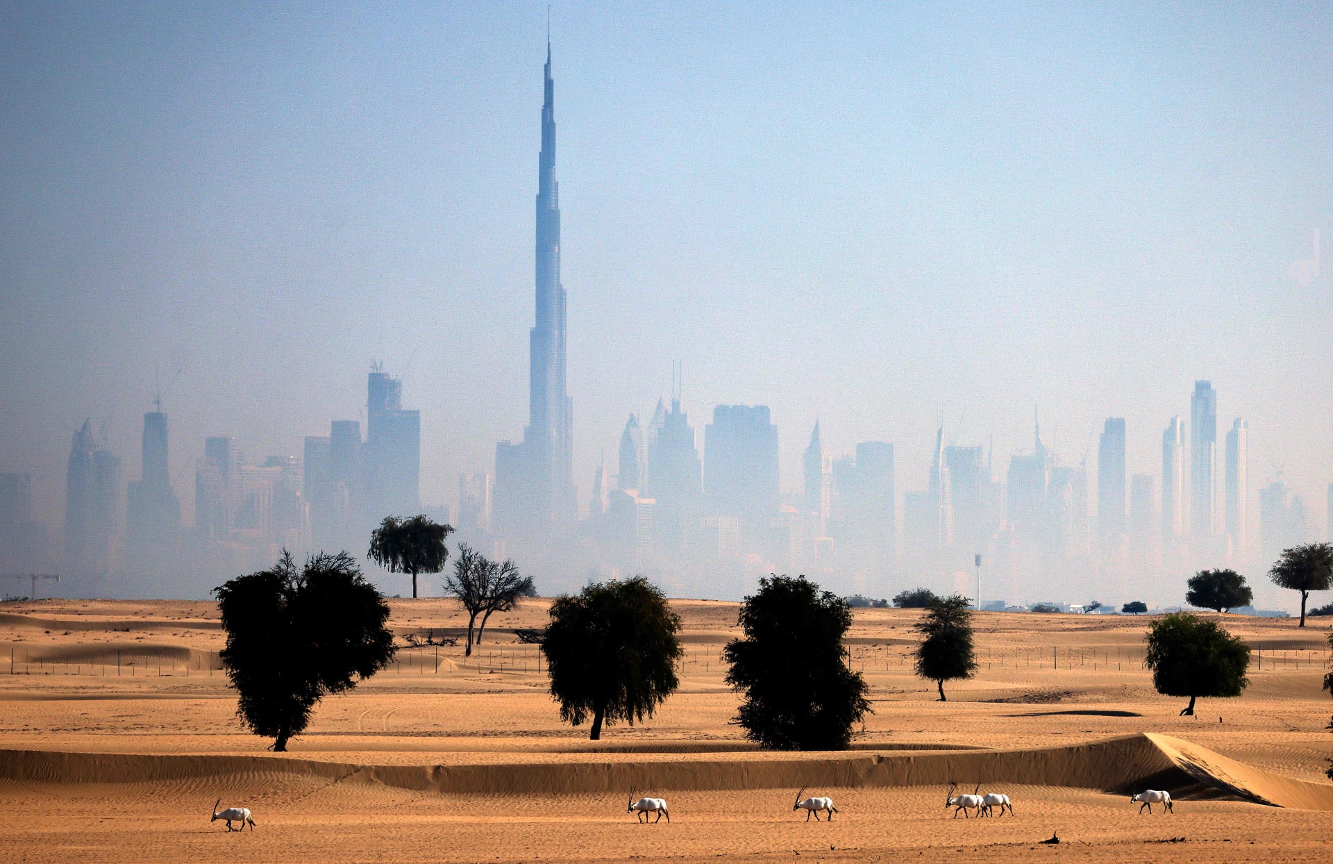 الكرة النارية في سماء الإمارات.. مركز الفلك الدولي شكف تفاصيل حولها