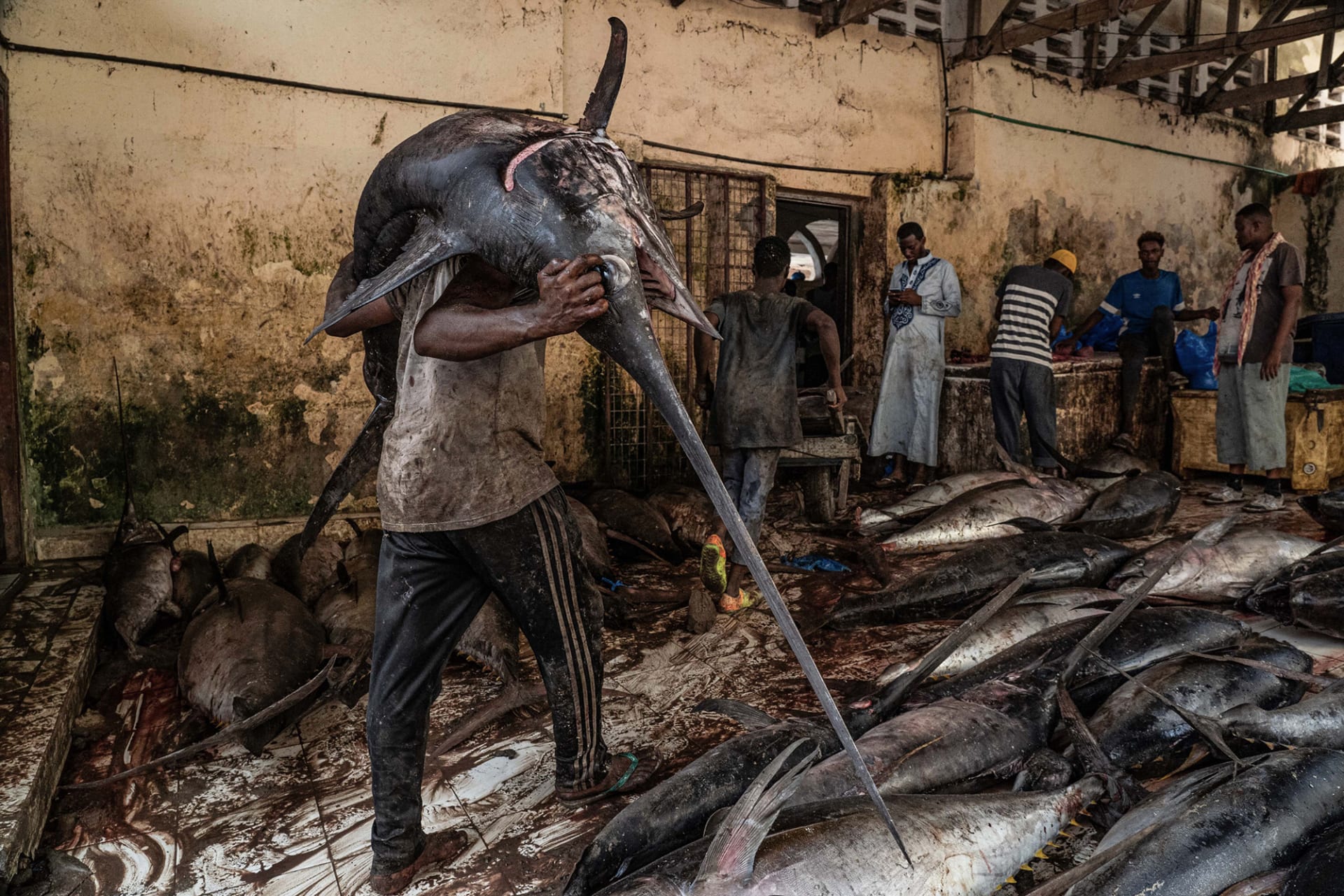 مشهد من سوق سمك في العاصمة الصومالية، مقديشو، وثّقها المصور طارق زيدي.