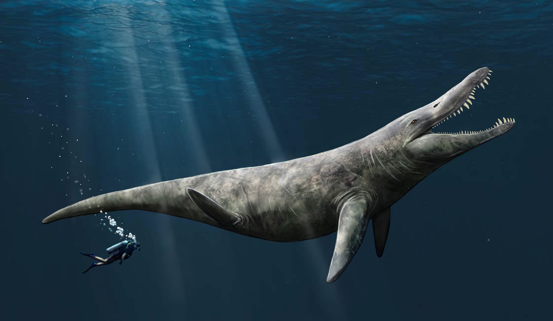 "مخيفة جدًا".. باحثون يحددون الحجم الحقيقي لـ"وحش" بحري من العصر الجوراسي