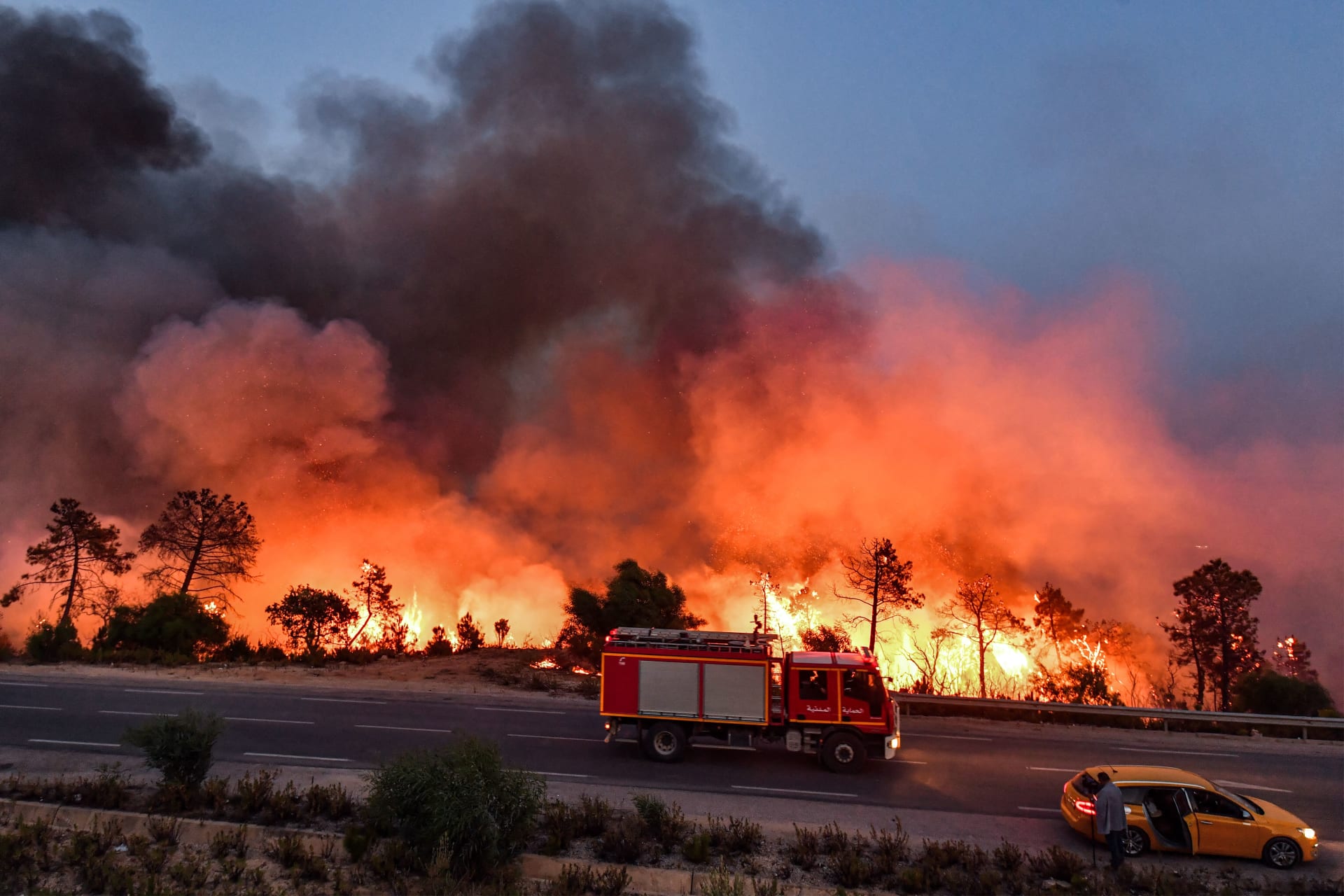 الجزائر تعلن السيطرة على حرائق الغابات