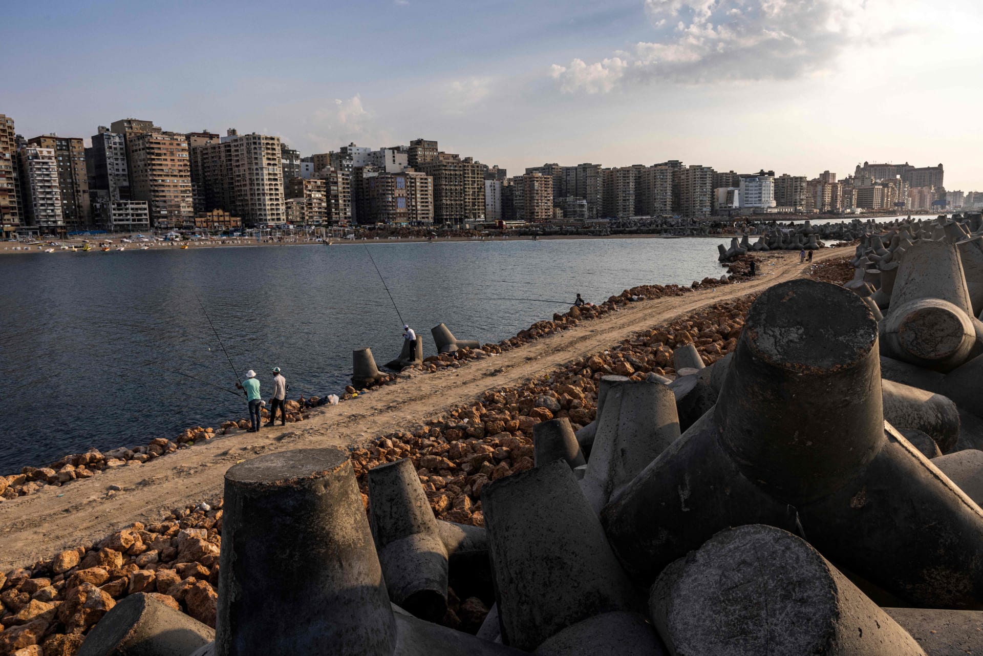 نفوق كميات كبيرة من الأسماك في الإسكندرية.. مسؤول مصري يكشف الأسباب