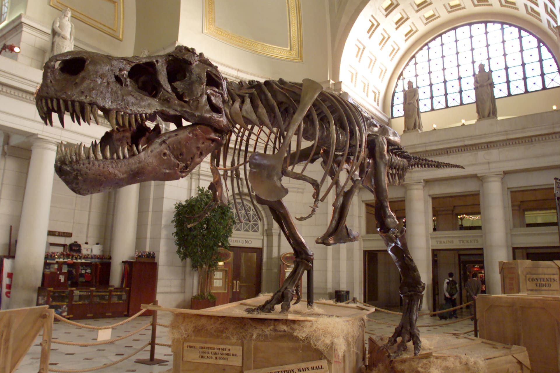 لماذا انقرضت الديناصورات وهل السبب يهدد البشرية؟