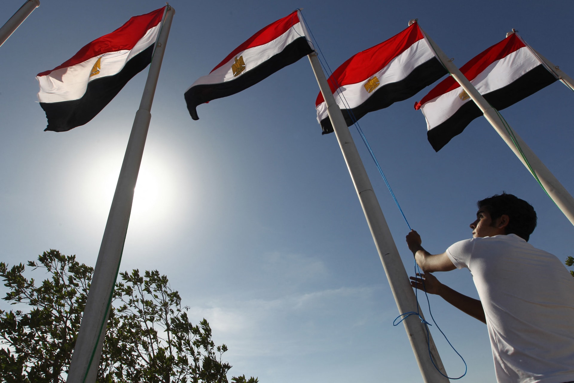 "مصر ليست عربية".. حملة تثير تفاعلا وسط تعليقات ساخرة