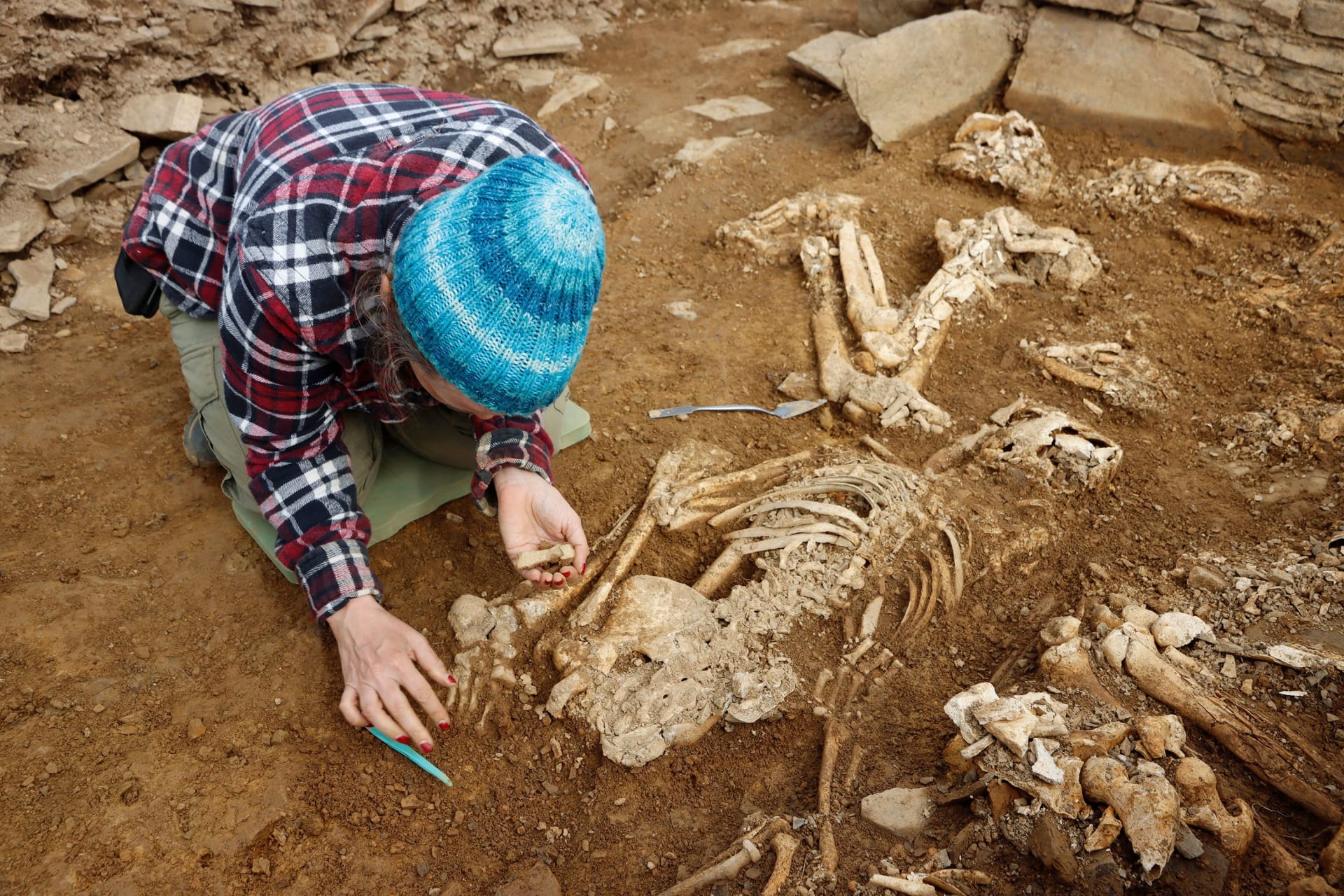  "نادرة بشكل لا يصدق".. اكتشاف هياكل عظمية في مقبرة اسكتلندية عمرها 5 آلاف عام