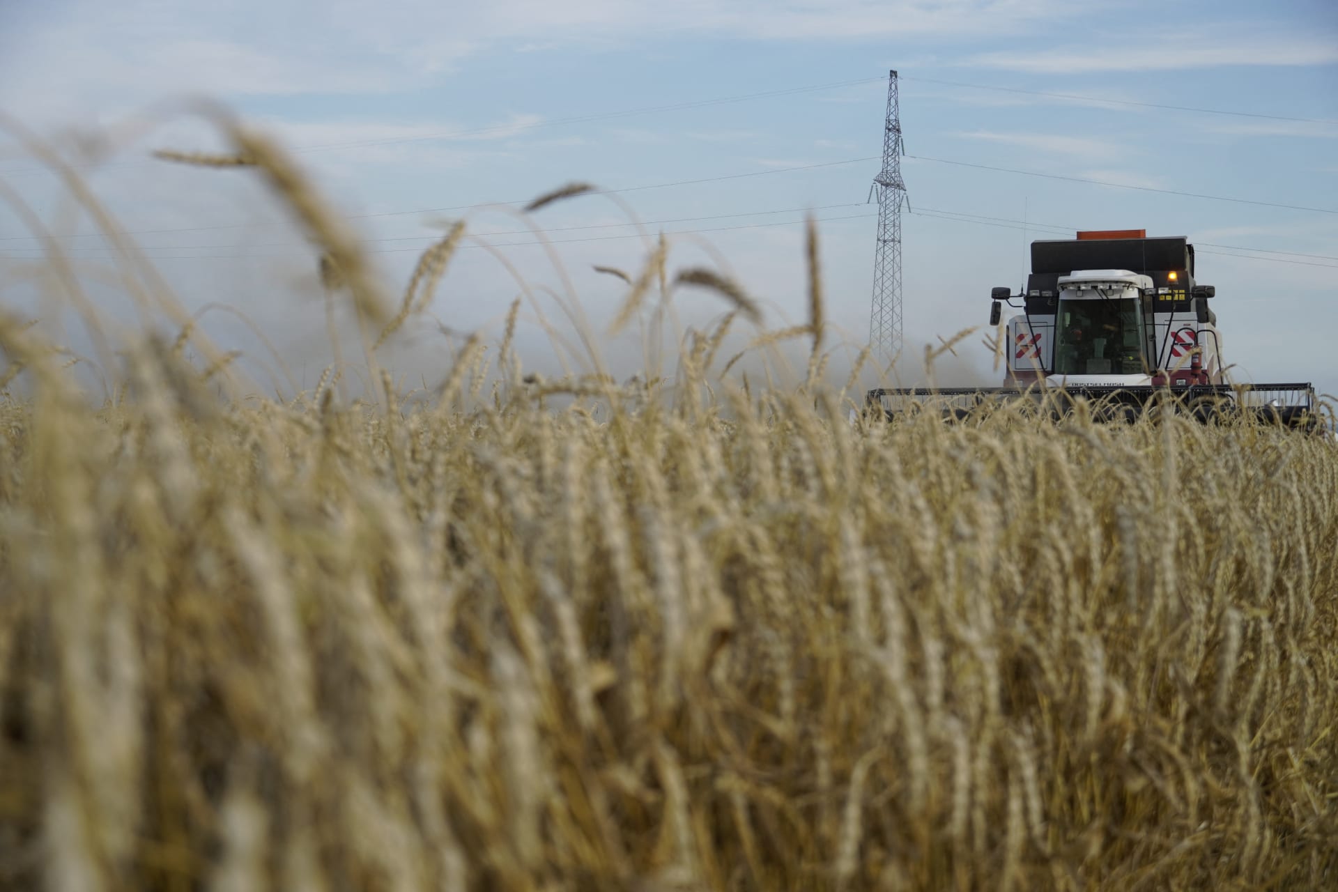 روسيا: سنرسل 200 ألف طن من القمح إلى إفريقيا مجانا بحلول نهاية 2023