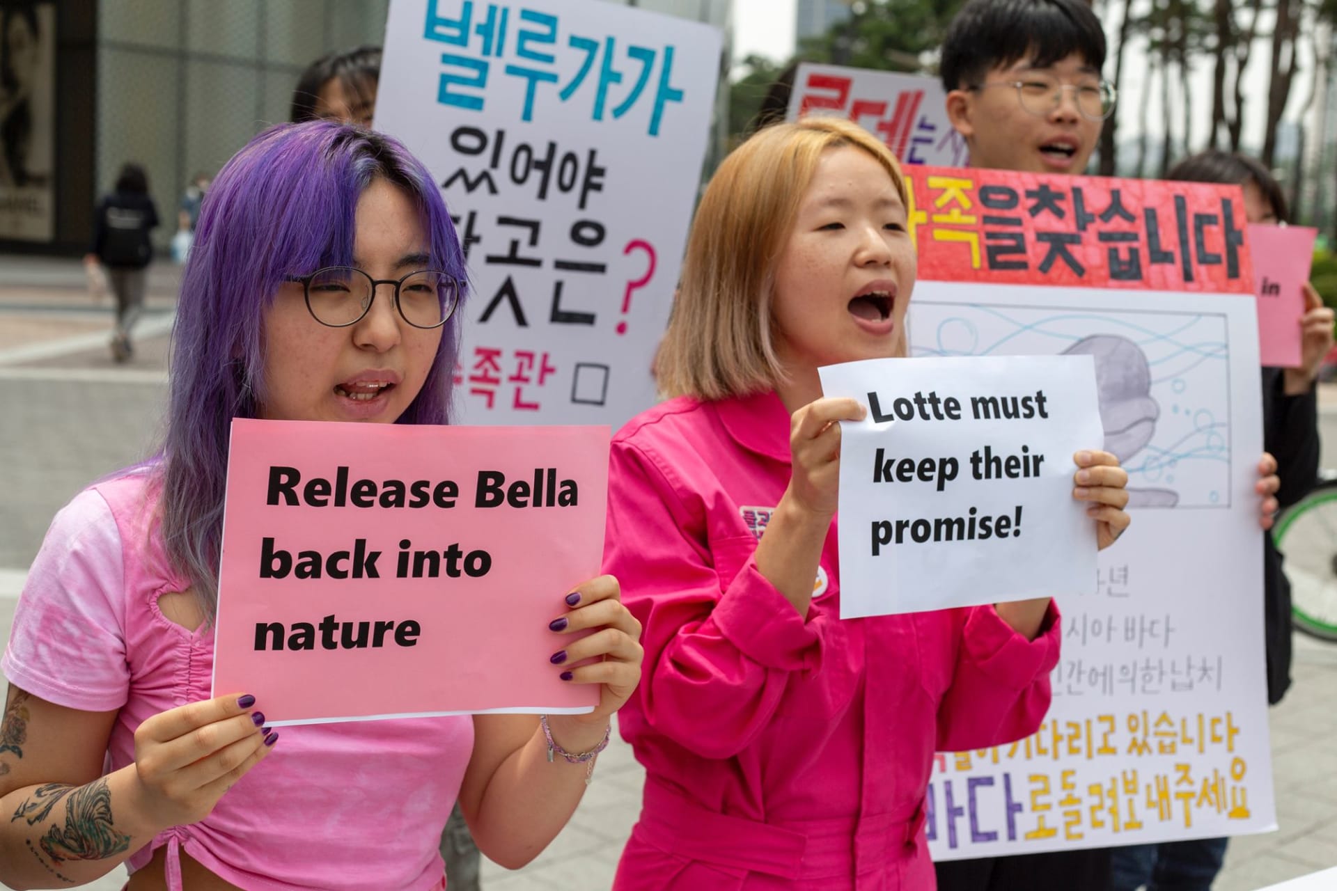 معركة من أجل تحرير أنثى حوت أبيض من أسرها في كوريا الجنوبية