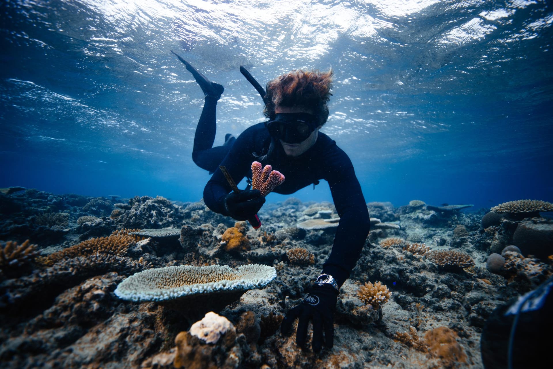 بمساعدة من ممثل "أكوامان".. هذا الناشط البيئي في مهمة لإنقاذ الشعاب المرجانية في العالم