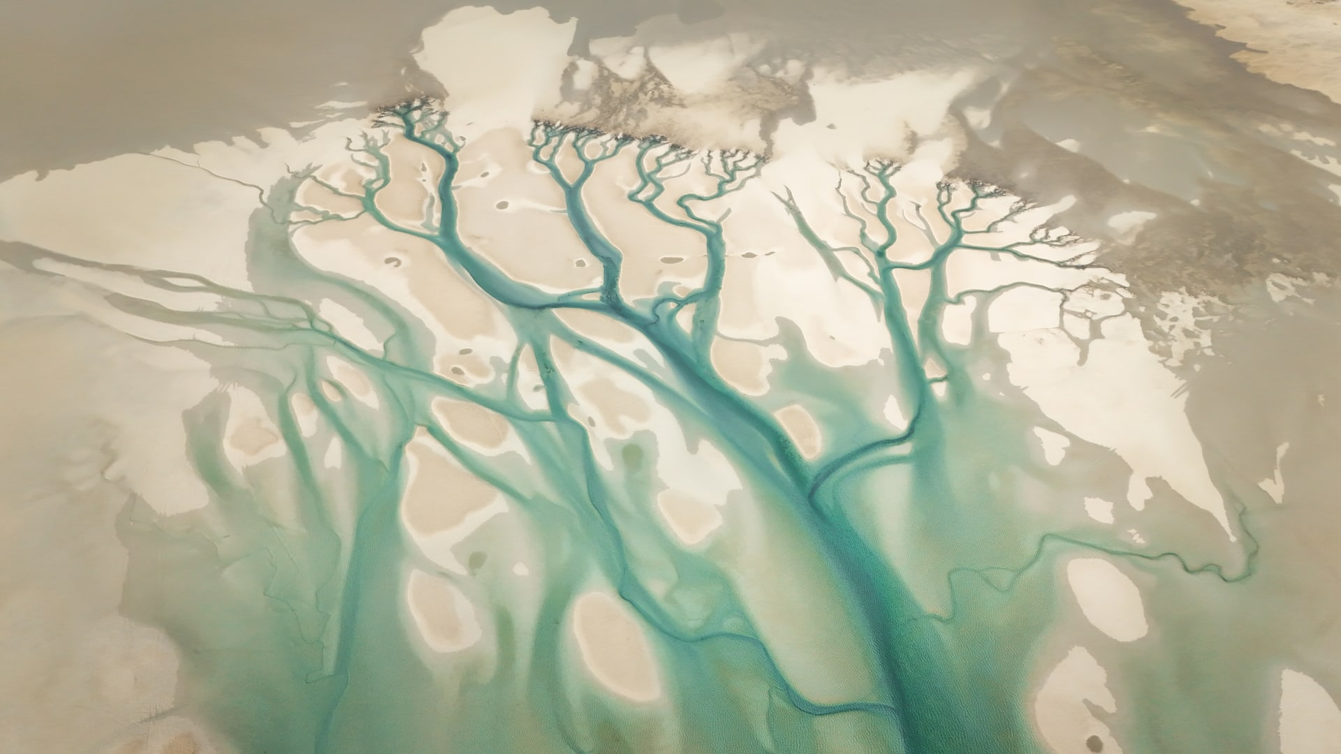 كأنها عروق تمد الأرض بالحياة.. مصور يكشف جمال أبوظبي المخفي بالإمارات