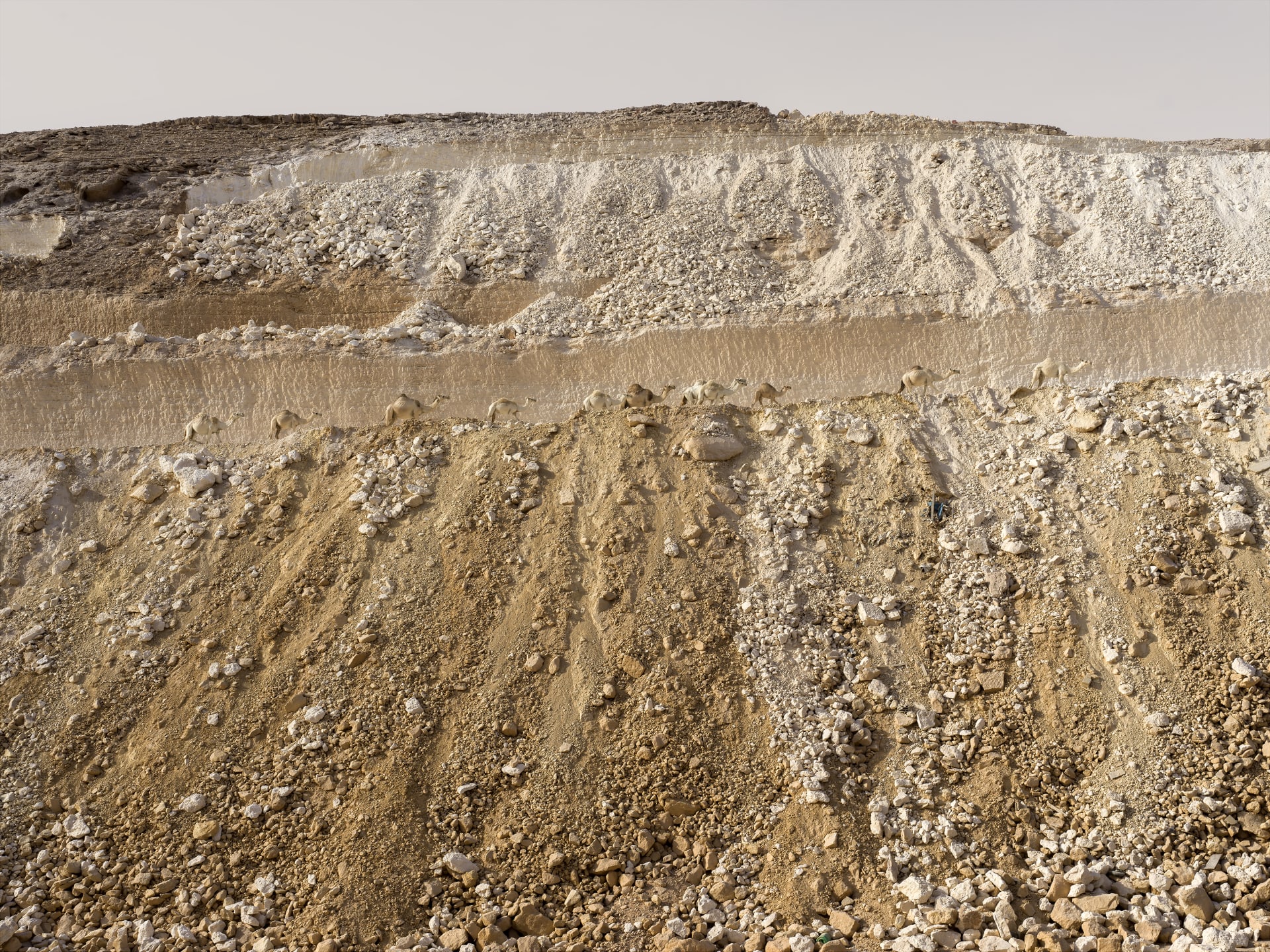 صور سريالية تجسد تناقضات صارخة بين الطبيعة والتقدم بدول الخليج