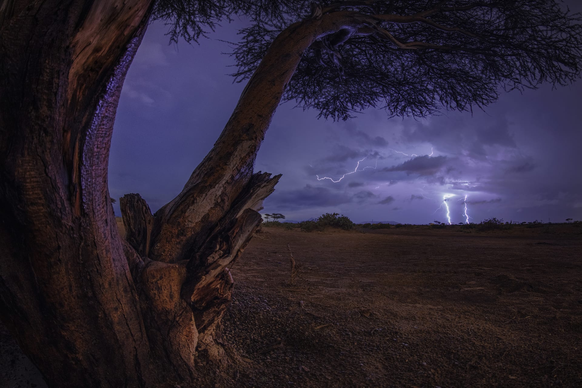 مطاردة البرق في الإمارات