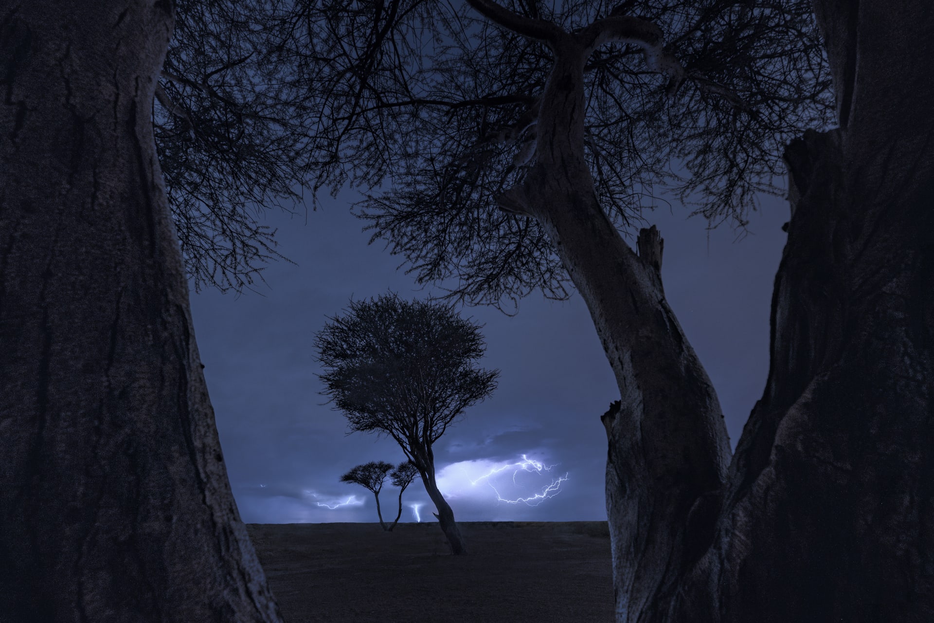 مطاردة البرق في الإمارات