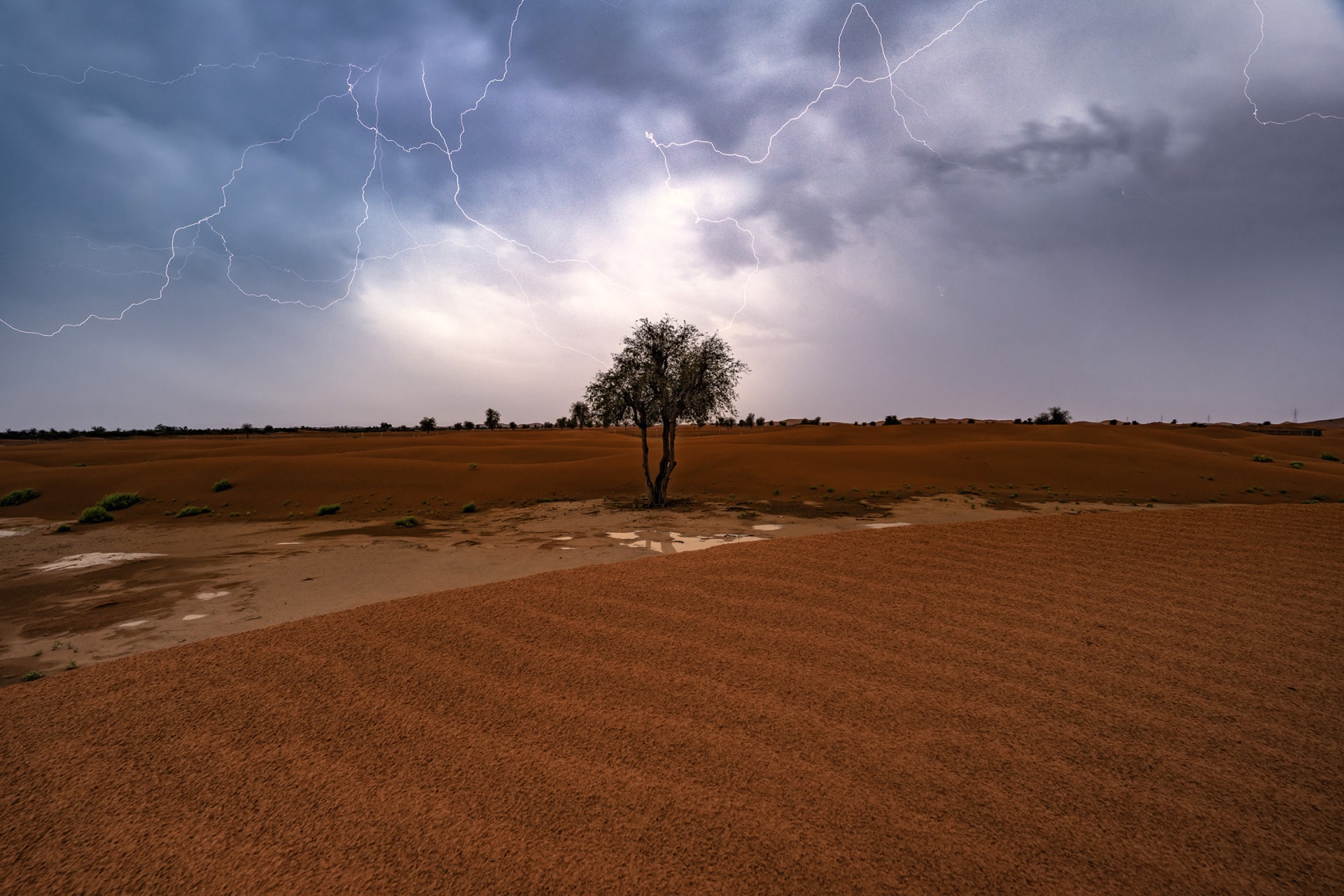 مطاردة البرق في الإمارات